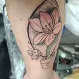 Profilo Instagram di Black Rose Tattoo