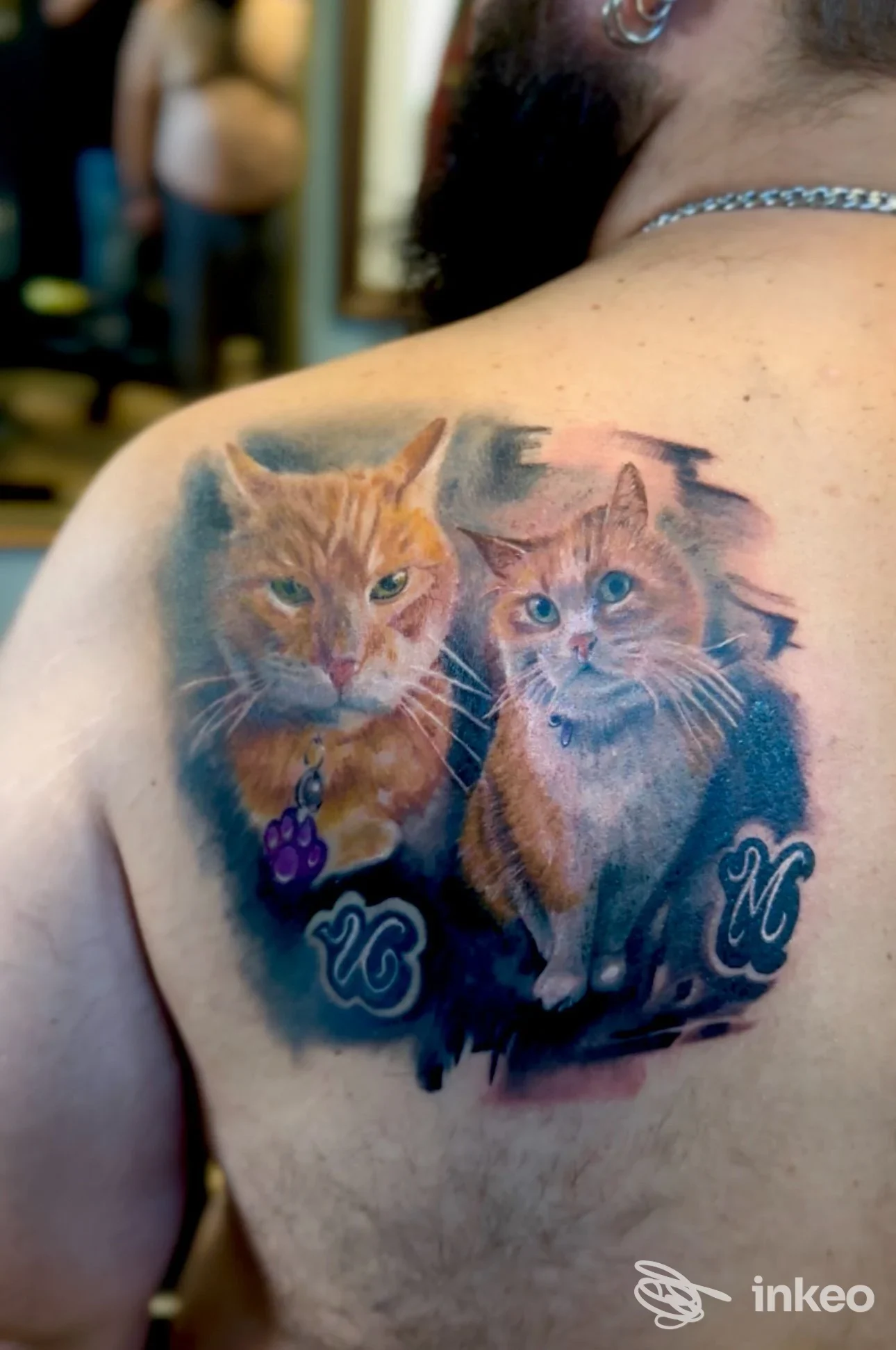 Tatuaggio a colori sulla spalla con due ritratti realistici di gatti; foto inviata da Universo tattoo Rovereto, Rovereto.