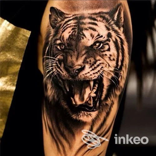 Tatuaggio realistico di testa di tigre sul braccio, foto inviata da 7th tattoo a Gualdo Tadino.