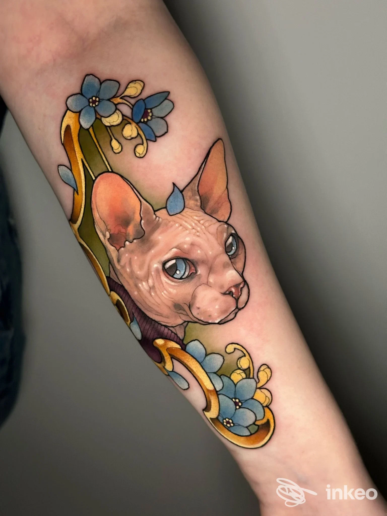 Tattoo sul braccio raffigurante una testa di gatto Sphynx con motivi floreali blu e gialli, contorni nitidi e colori vividi.