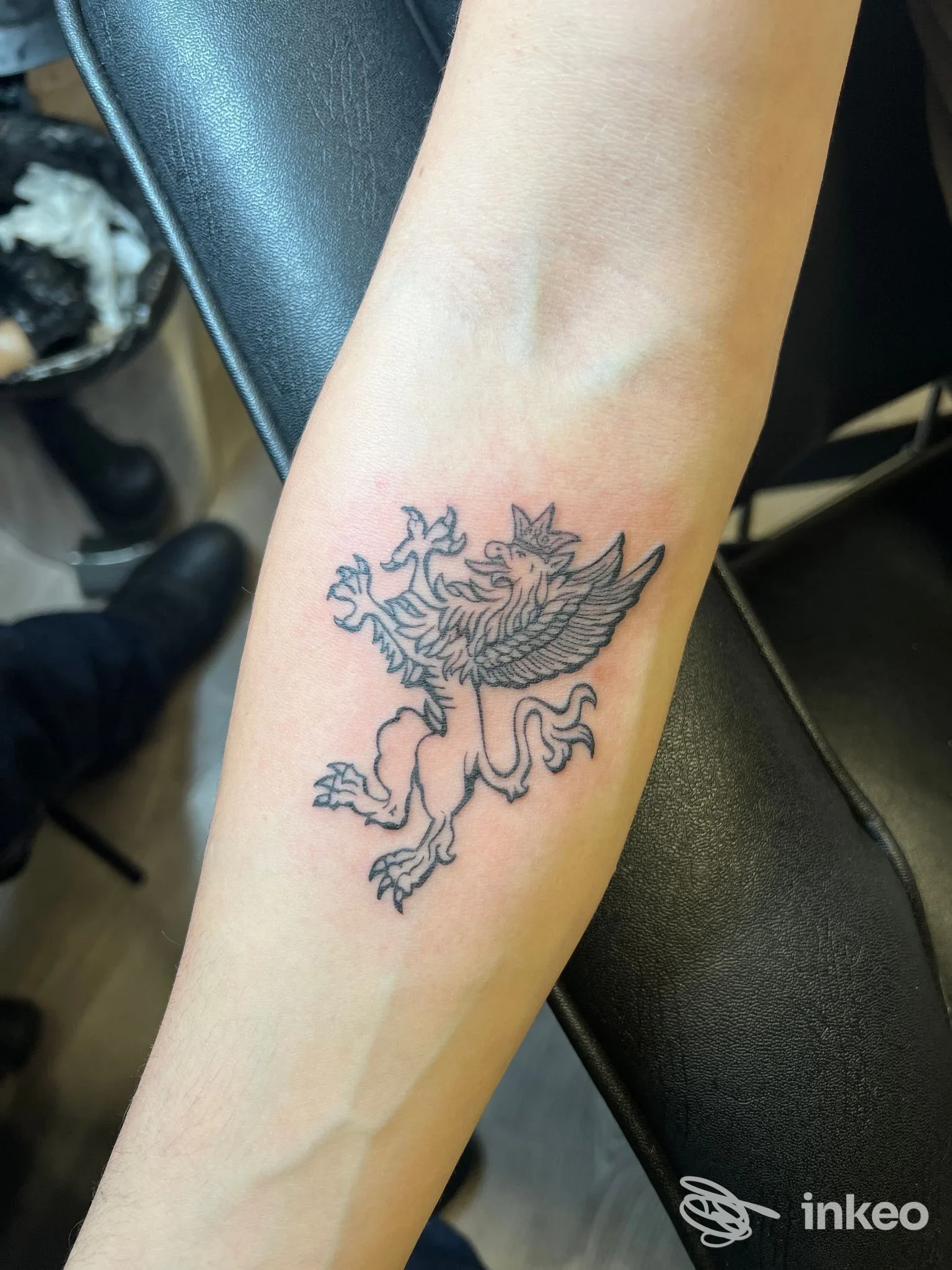 Tatuaggio a linea nera di un grifone sull'avambraccio, Alex Uliano Tattoo, Perugia.