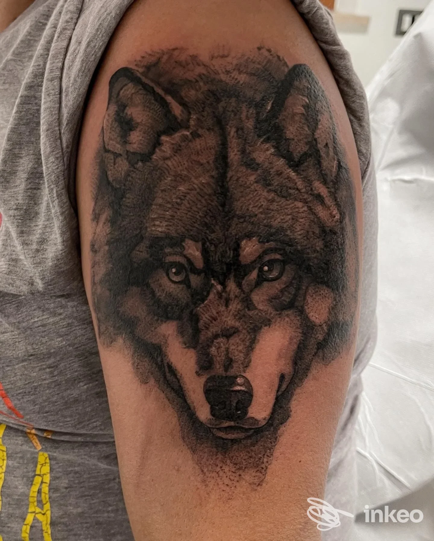 Tatuaggio realistico di un lupo sul bicipite, foto fornita da Blacklagoon tattoo company a Passignano sul Trasimeno.