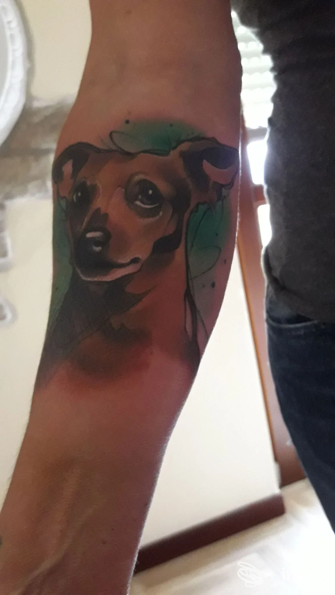 Tatuaggio colorato su avambraccio raffigurante un animale, visibile pelle reale, nessun overlay o volto intero.