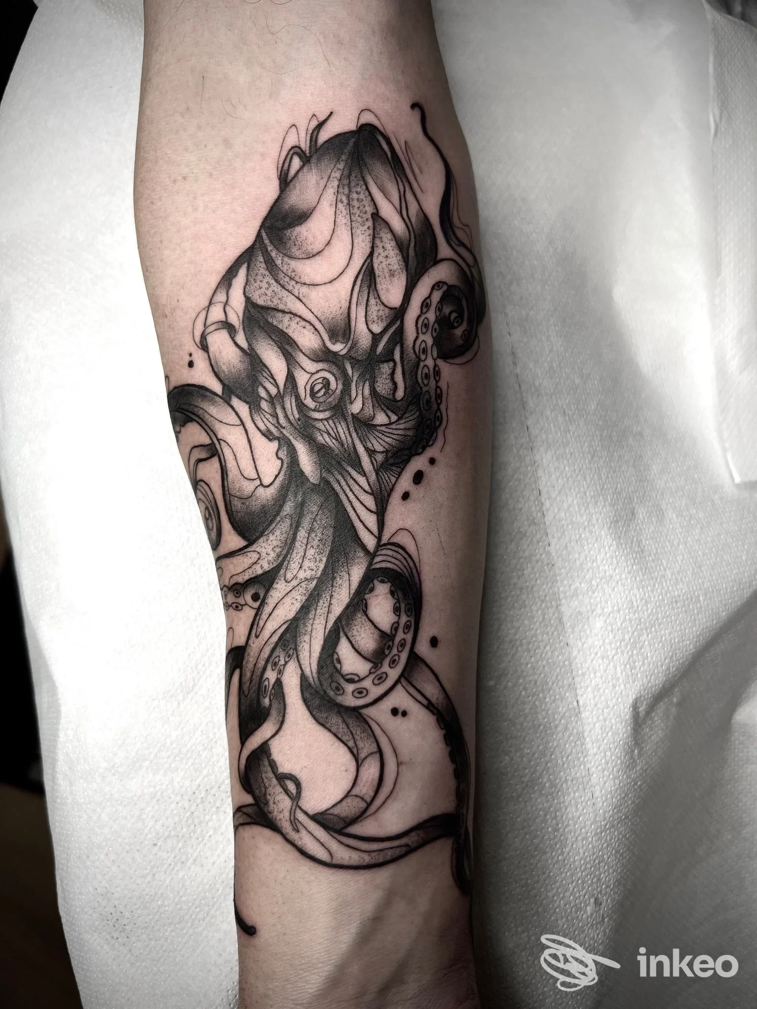 Tatuaggio di piovra in nero e grigio sull'avambraccio, linee fluide e puntinature — La Bella e La Bestia Tattoo, Perugia.
