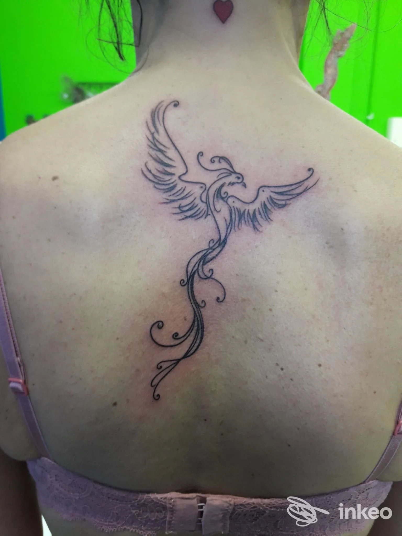 Tatuaggio linework a forma di fenice sulla parte alta della schiena. Pretty Tattoo di Rossi Sonia, Gubbio.