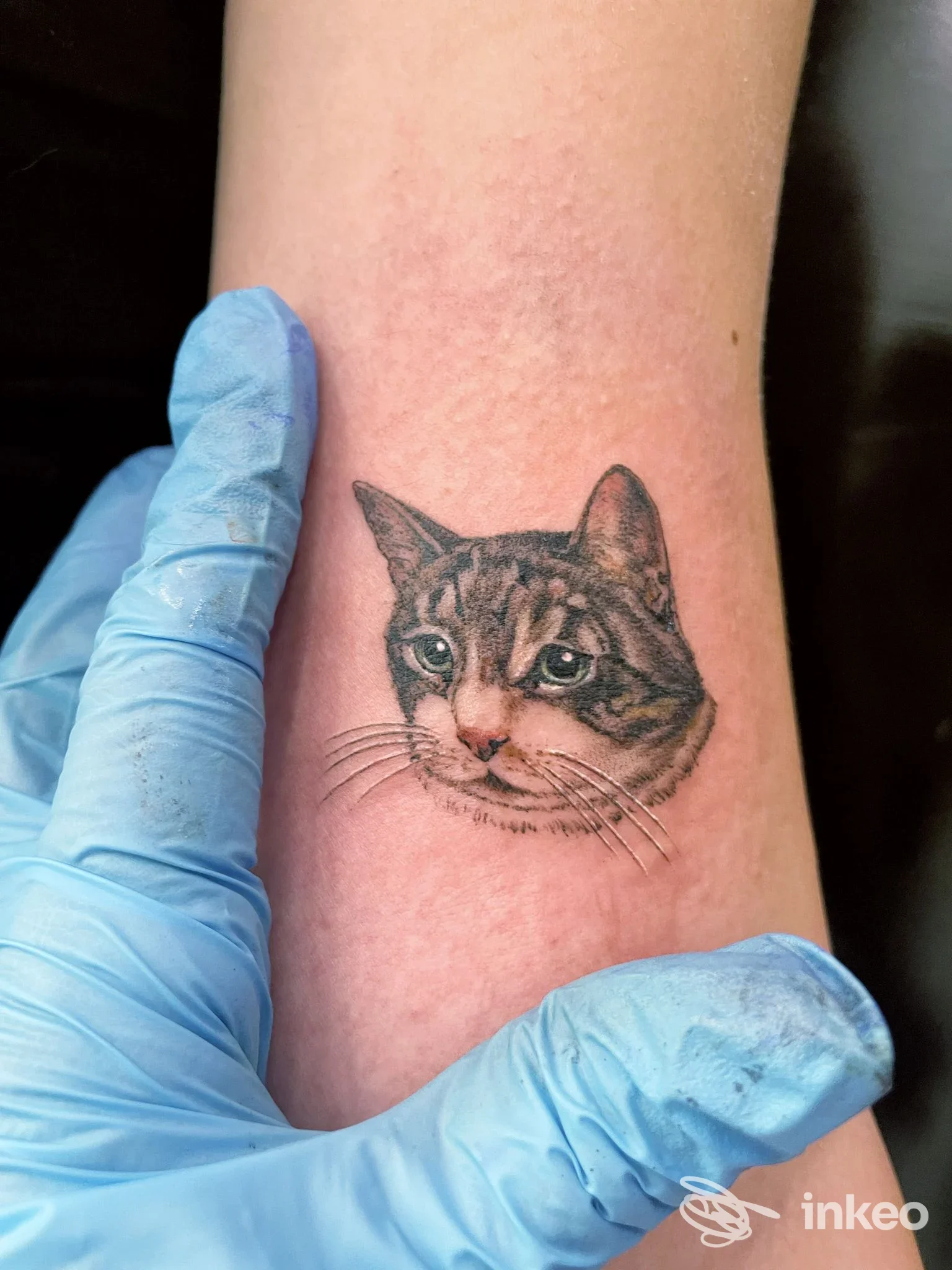 Tatuaggio realistico di una testa di gatto sull'avambraccio, realizzato da Saretta Project Ink Tattoo a Terni.