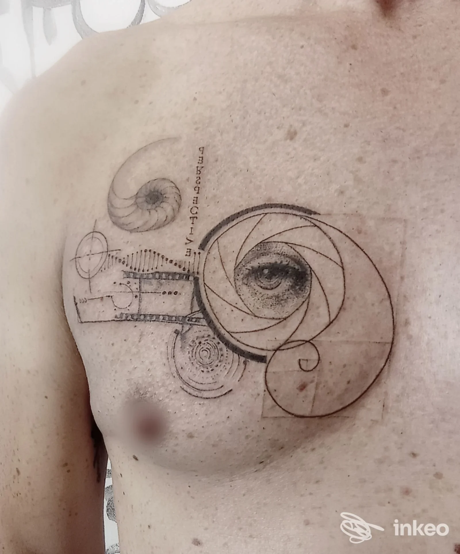 Tatuaggio geometrico con occhio e motivo a nautilus sul petto di una persona, realizzato da Rebel Therapy Tattoo Studio a Gualdo Tadino.