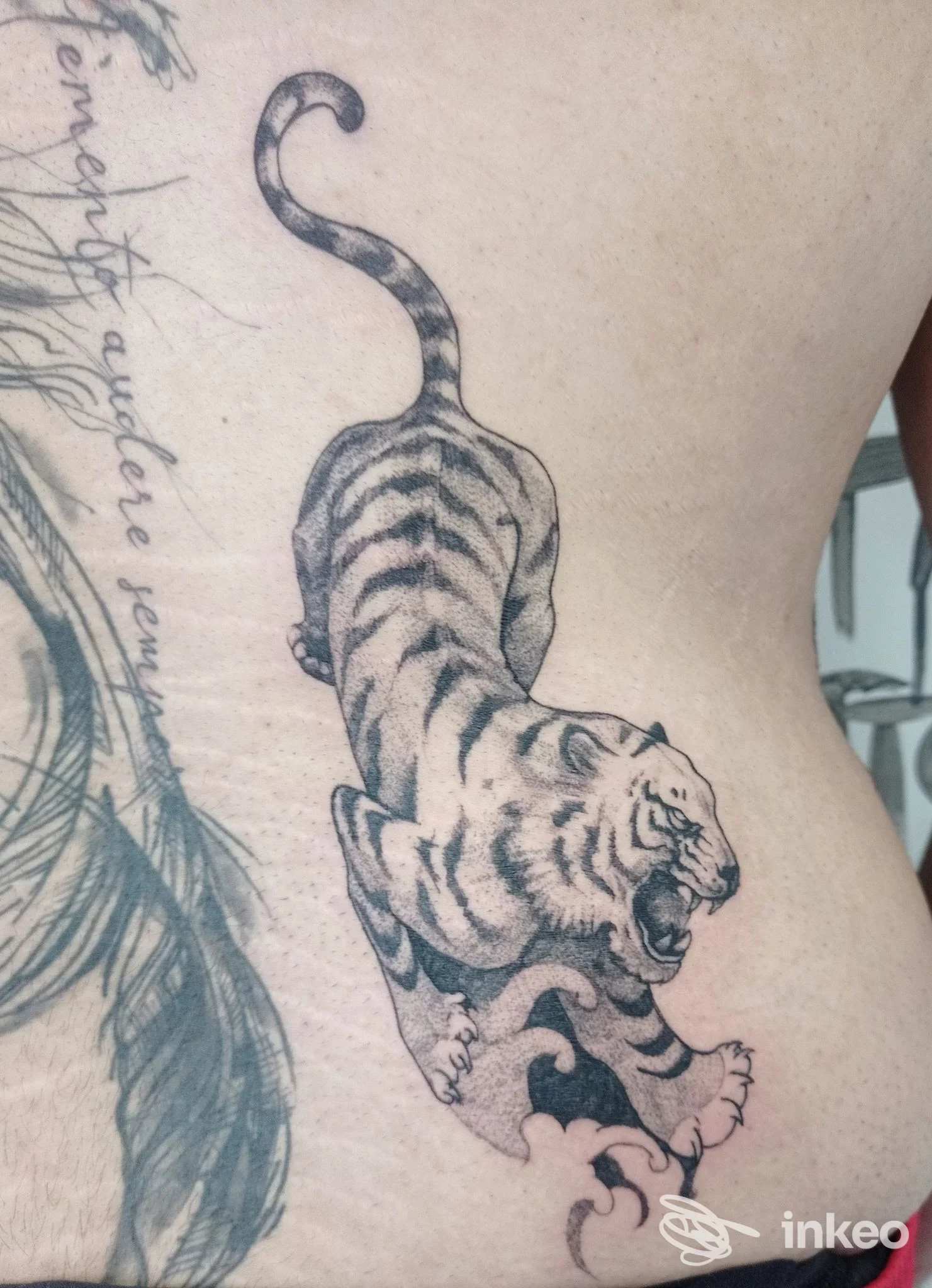 Tatuaggio di una tigre in nero e grigio sul fianco, foto fornita da Rebel Therapy Tattoo Studio, Gualdo Tadino.