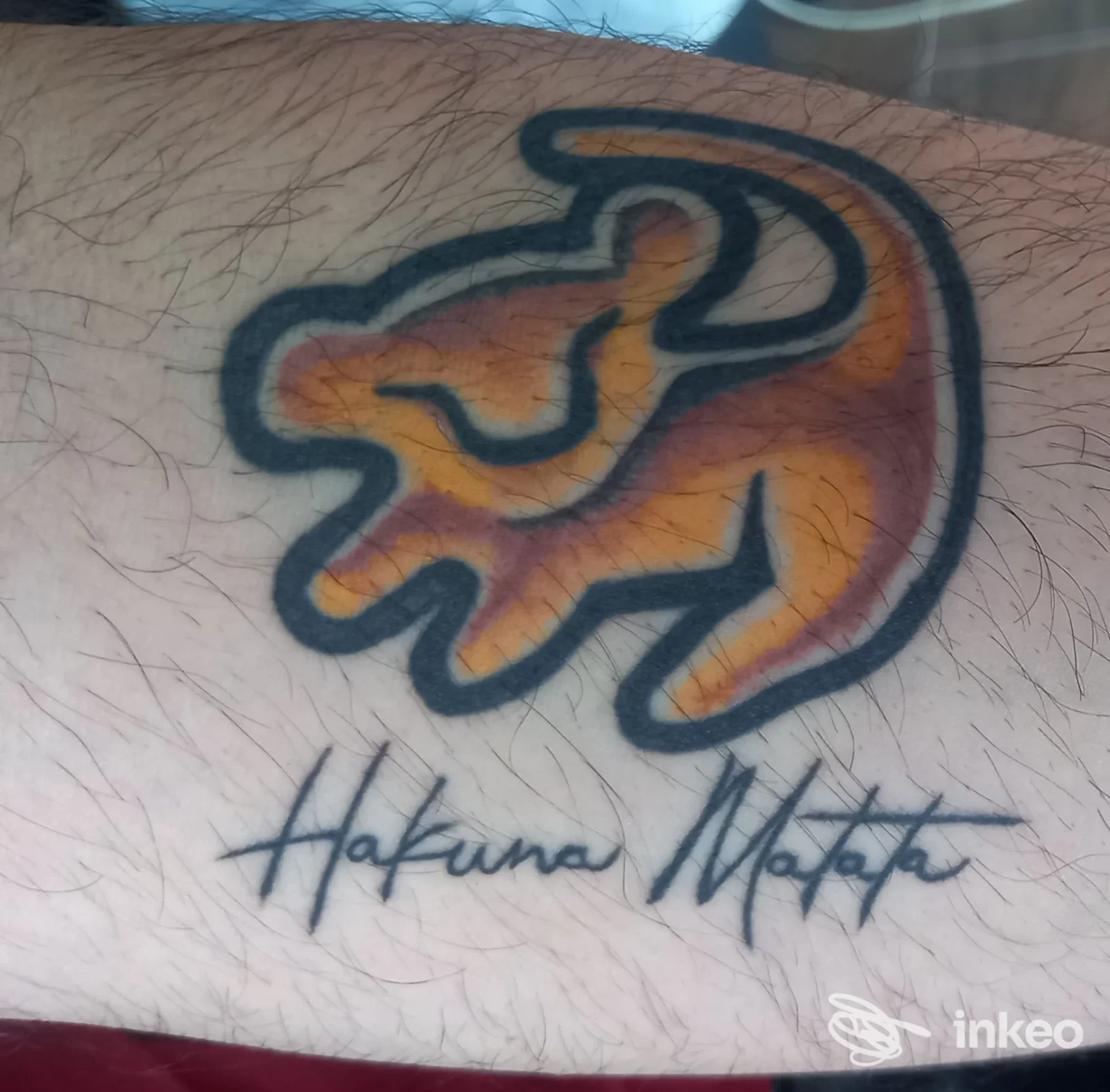 Tatuaggio figurativo colorato con la scritta 'Hakuna Matata' su avambraccio, Sinkronia Tattoo Studio, Foligno.