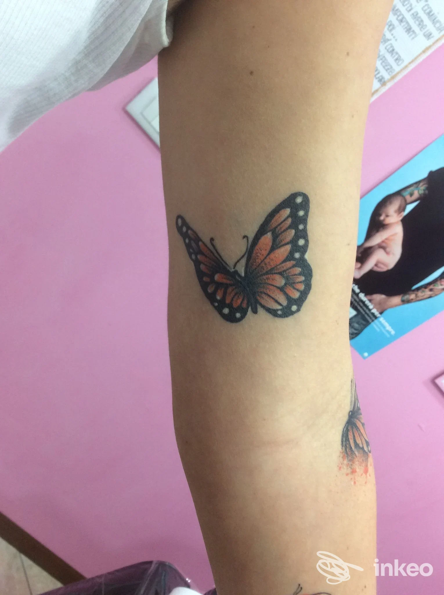 Tatuaggio a farfalla colorata sull'avambraccio interno, foto inviata da Tattooshka a San Giustino.