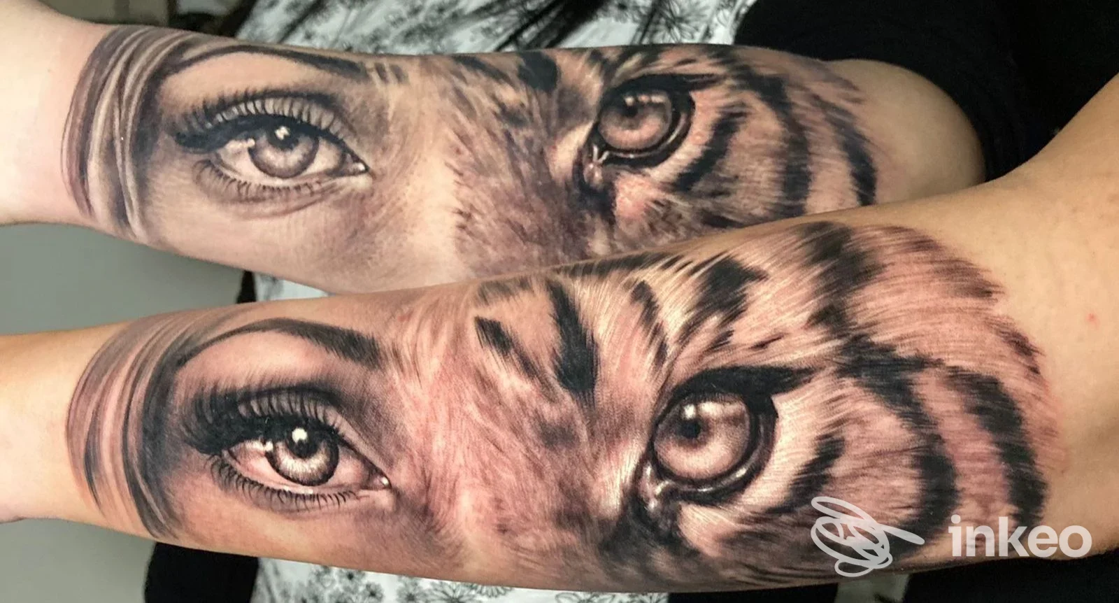 Due avambracci mostrano due tatuaggi realistici di tigre sulla pelle, con dettagli degli occhi e delle striature in tonalità grigie e nere.