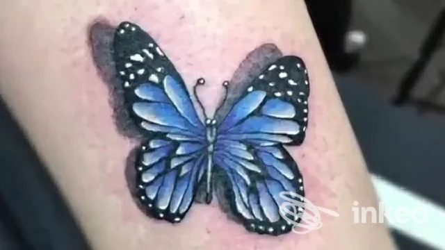 Tatuaggio a colori raffigurante una farfalla blu e nera sul braccio di un cliente, realizzato da Bertelli Diego Tattoo ad Aosta, dettaglio nitido della pelle.