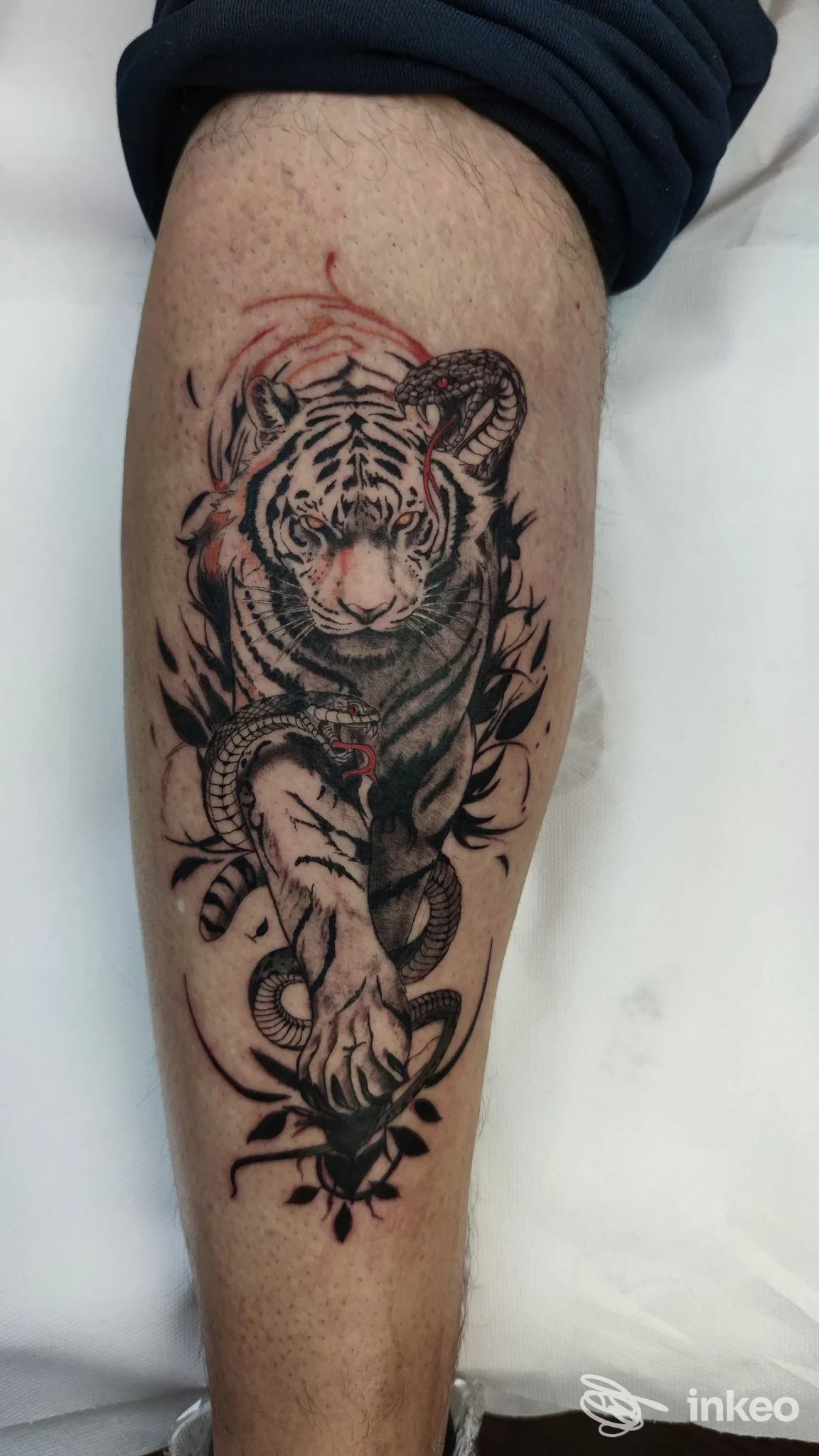 Tatuaggio su polpaccio con tigre e serpente in nero e rosso, realizzato presso Tattoo studio Ink Dome a Nus.