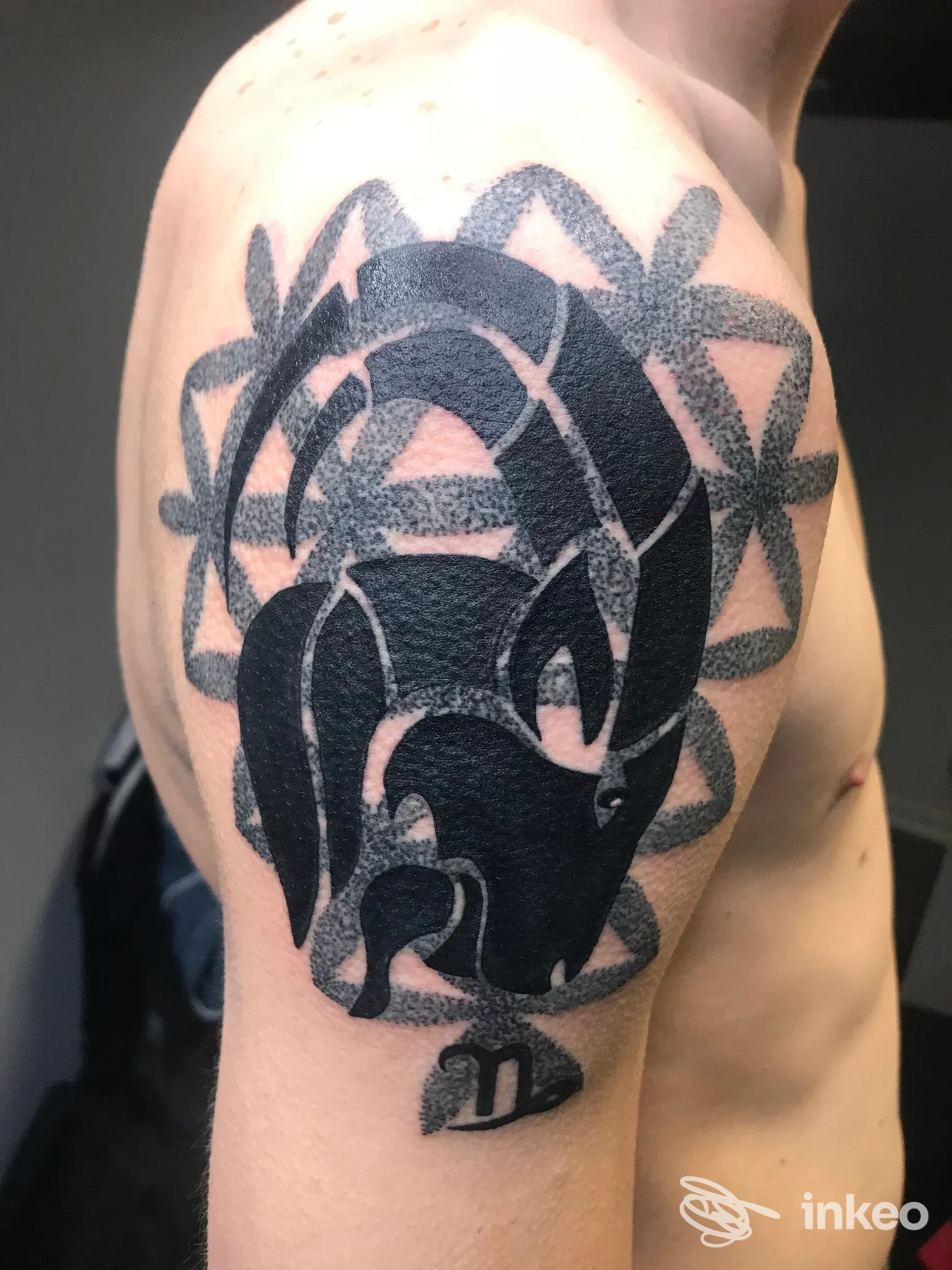Tatuaggio blackwork sul braccio superiore, Alchimista tattoo-piercing, Cazzago.