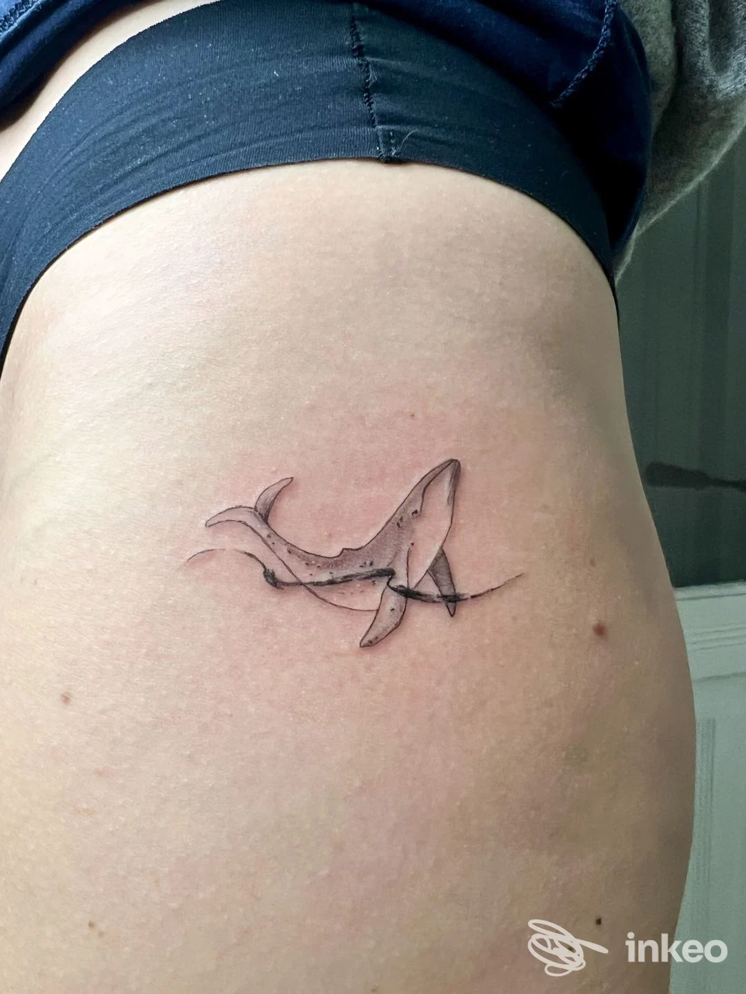 Tatuaggio squalo stilizzato sul fianco, realizzato da Ante Signum Tattoo Studio a San Giovanni Lupatoto.