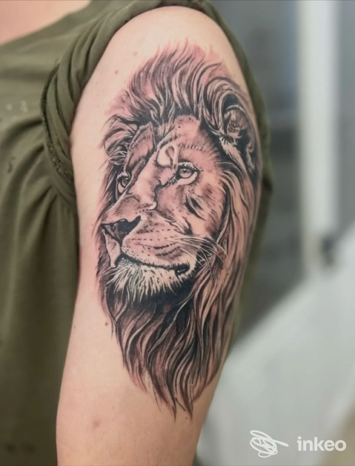 Tatuaggio realistico di leone sull'omero, foto del lavoro di Ante Signum Tattoo Studio a San Giovanni Lupatoto.