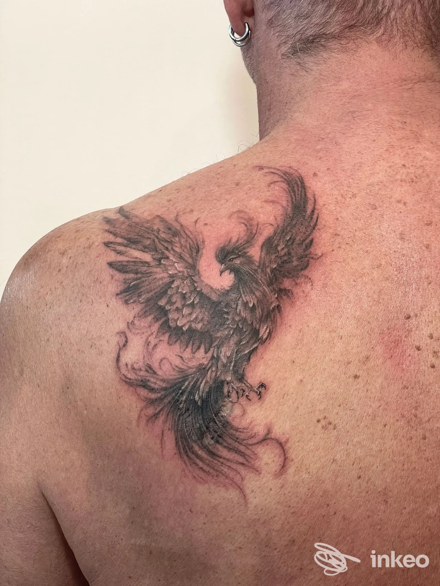 Tatuaggio a fenice in nero/grigio sulla spalla superiore; foto fornita da Arte Incisa Tattoo, Chirignago-Zelarino.