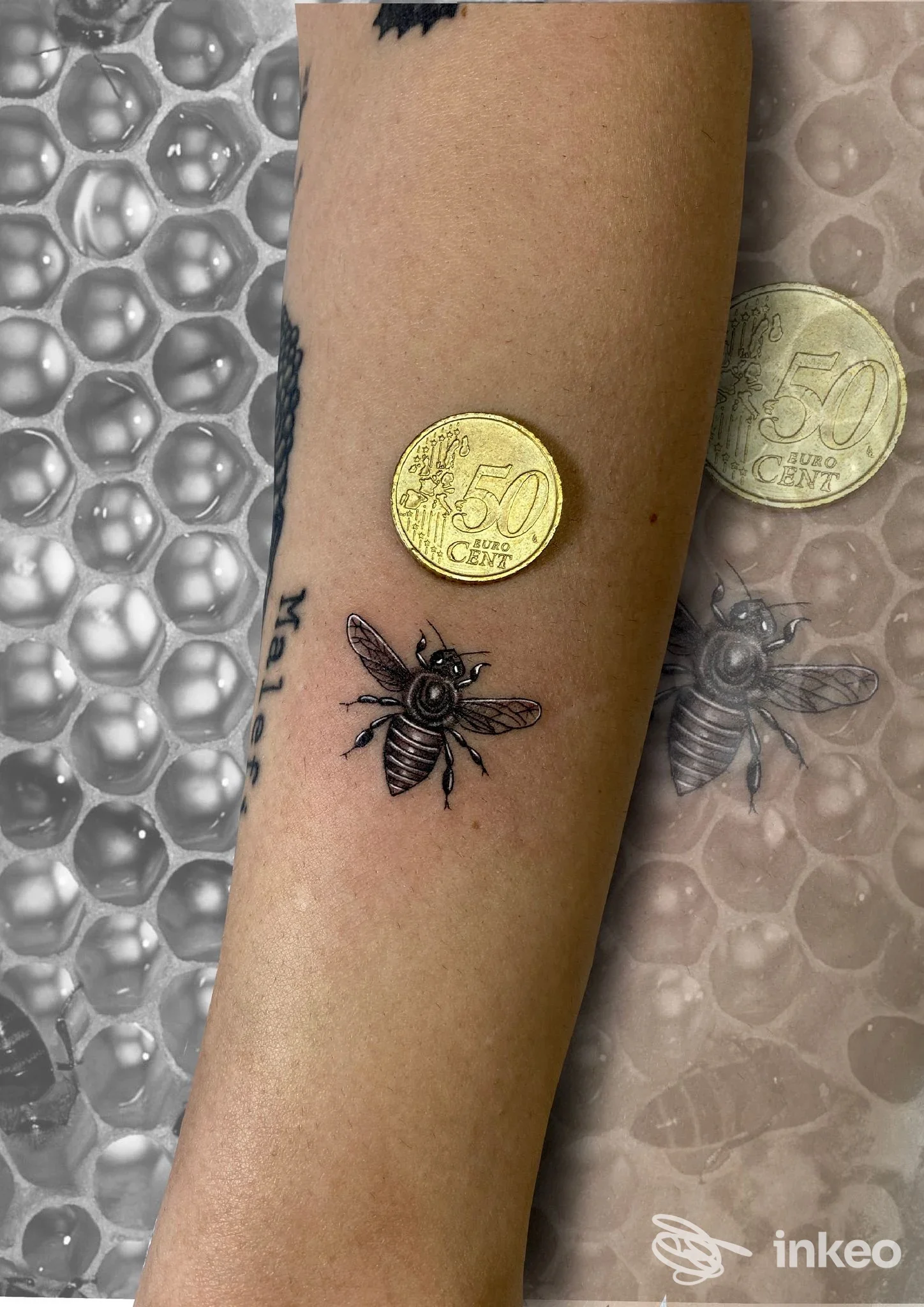Piccolo tatuaggio di ape in nero sull'avambraccio con moneta da 50 centesimi a confronto; foto fornita da 22 ROSES TATTOO STUDIO, Piombino Dese.