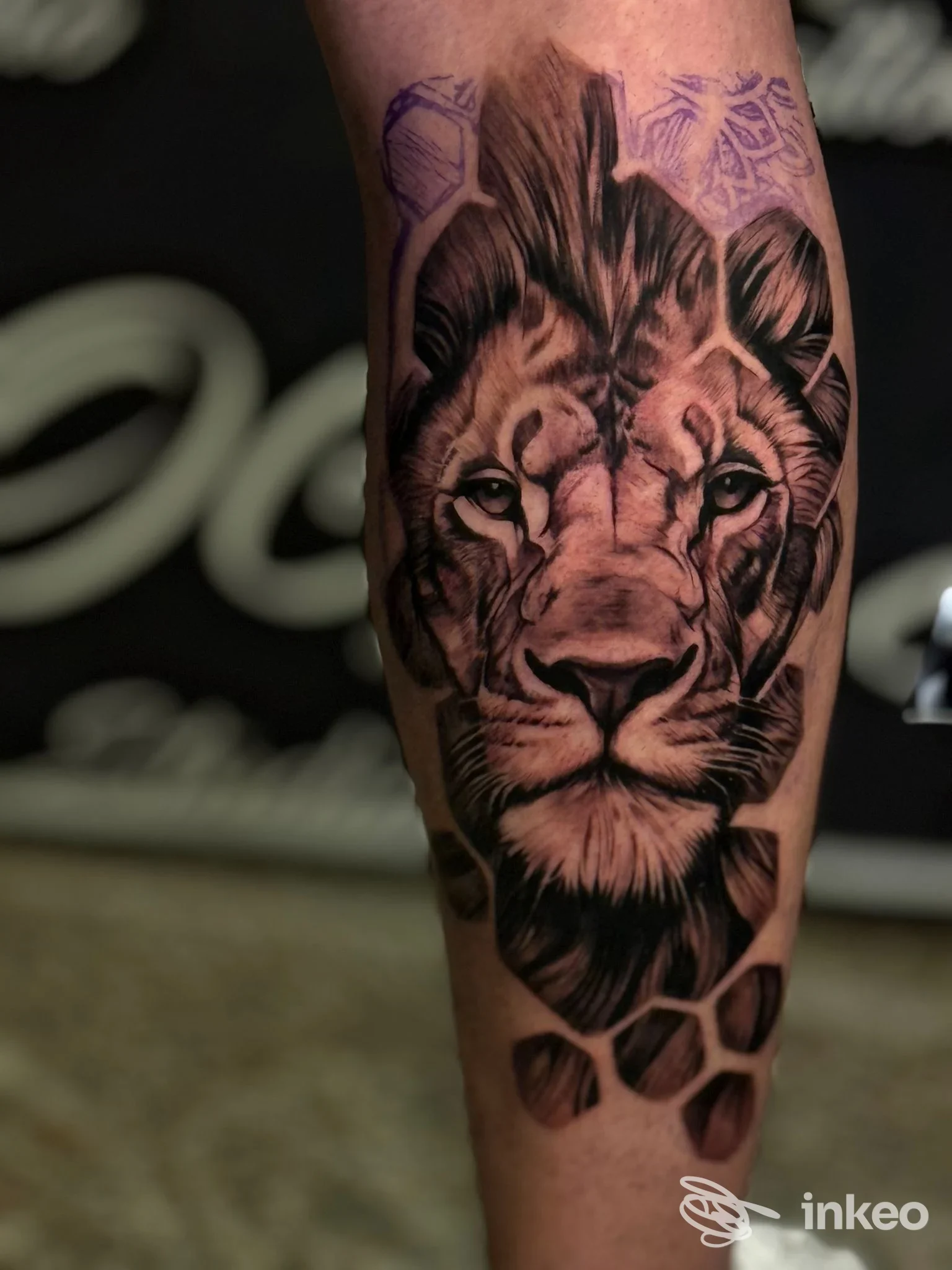 Tatuaggio realistico testa di leone sull'avambraccio realizzato da BOG Tattoo, Santa Giustina in Colle.