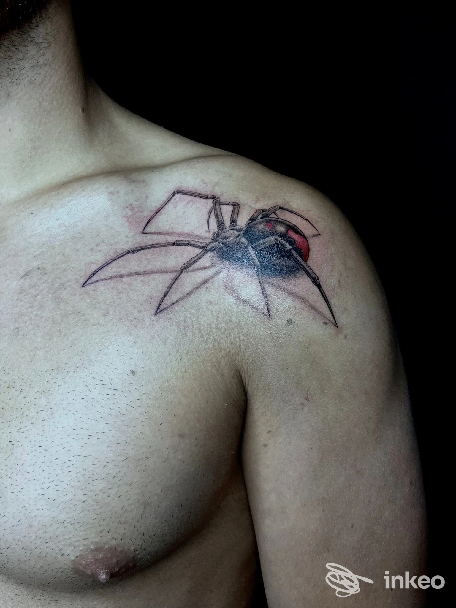 Tatuaggio a forma di ragno realizzato sulla spalla/clavicola di una persona. Born Of Black - Tattoo Studio, Padova.