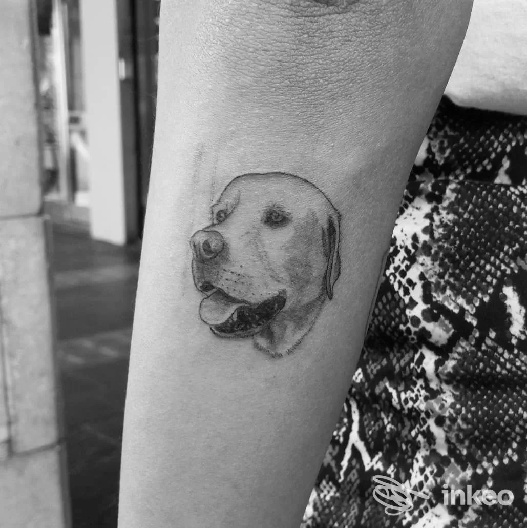Tatuaggio realistico di testa di cane sull'avambraccio interno, foto dallo studio ColorBlind Tattoo Piercing Studio, Padova.