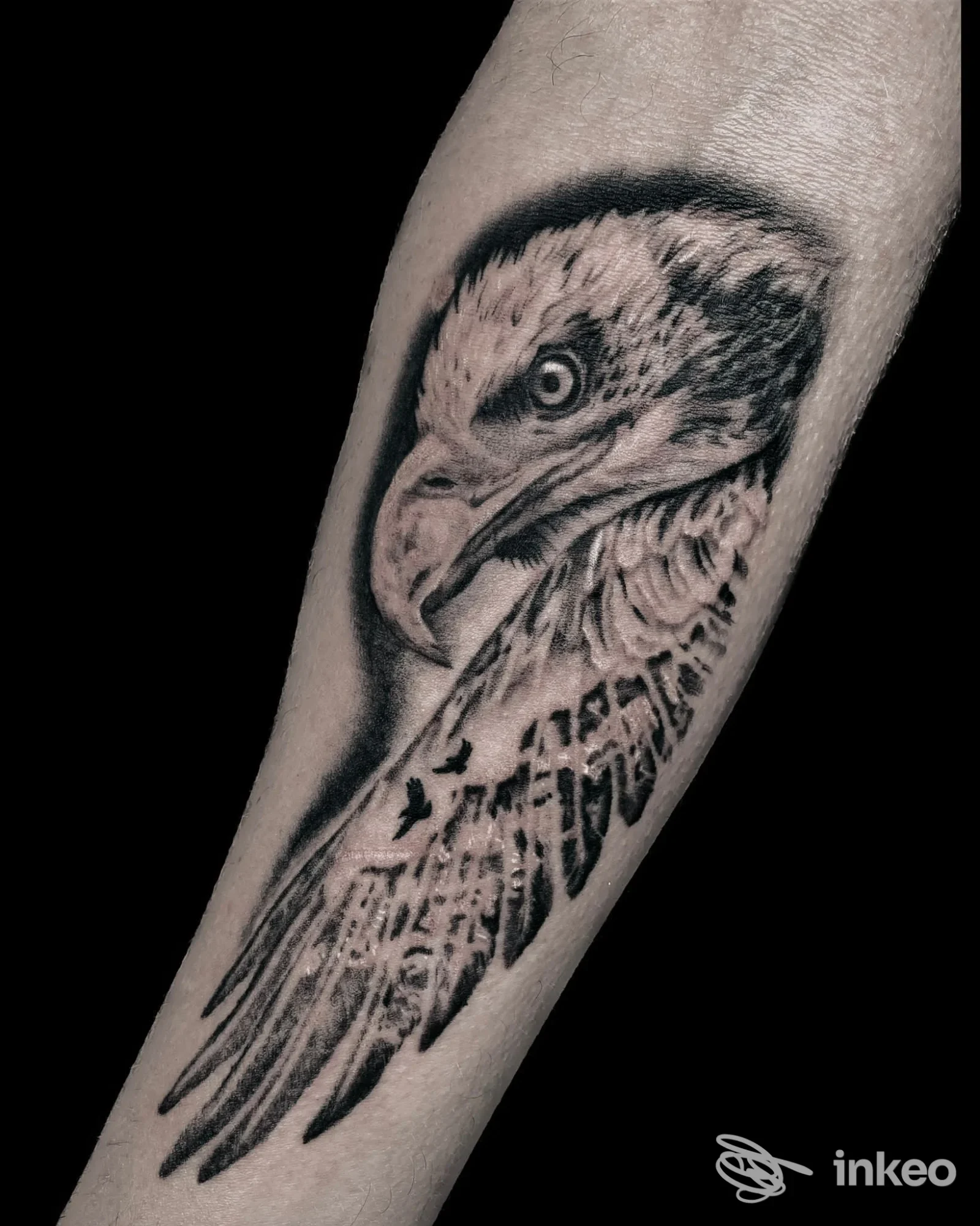 Tatuaggio realistico di un'aquila in bianco e nero sull'avambraccio, Dark Rose Tattoo Studio, Vodo Cadore.