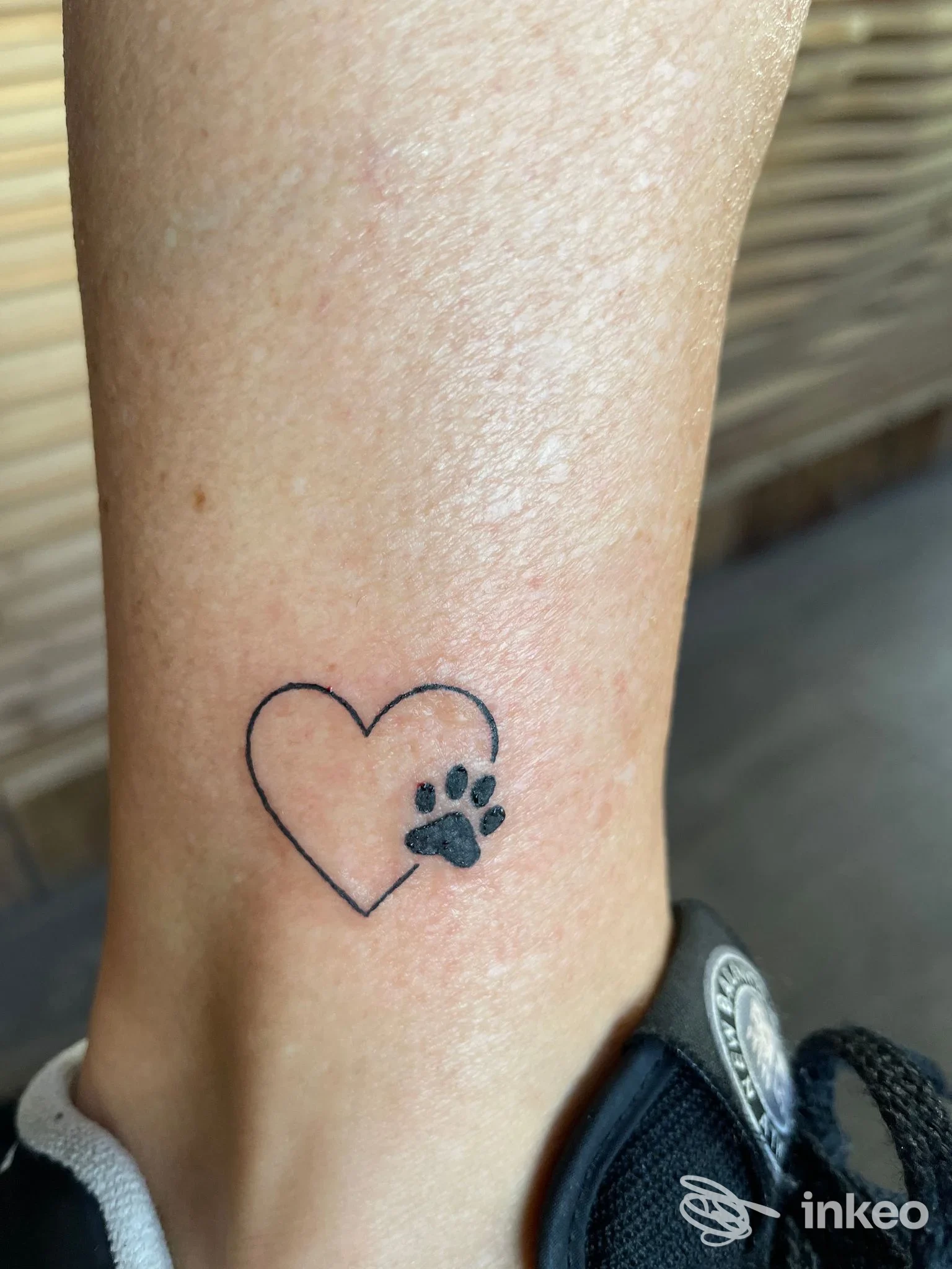 Tatuaggio minimal alla caviglia: cuore a linee sottili e zampa nera. Dark Rose Tattoo Studio, Vodo Cadore.