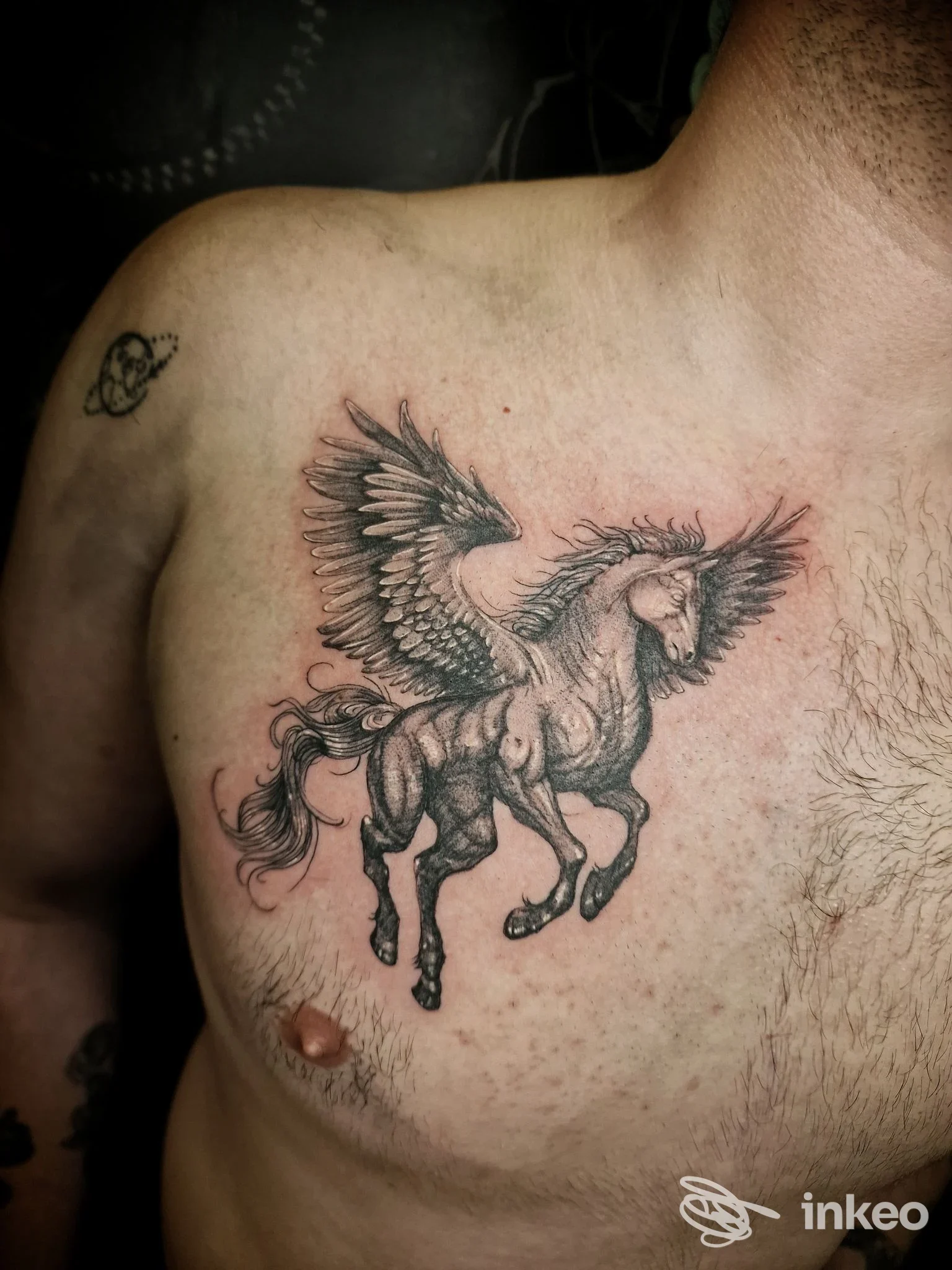 Tattoo su torace di un cavallo alato (Pegaso) con ali aperte, realizzata sulla pelle di un uomo, in bianco e nero.