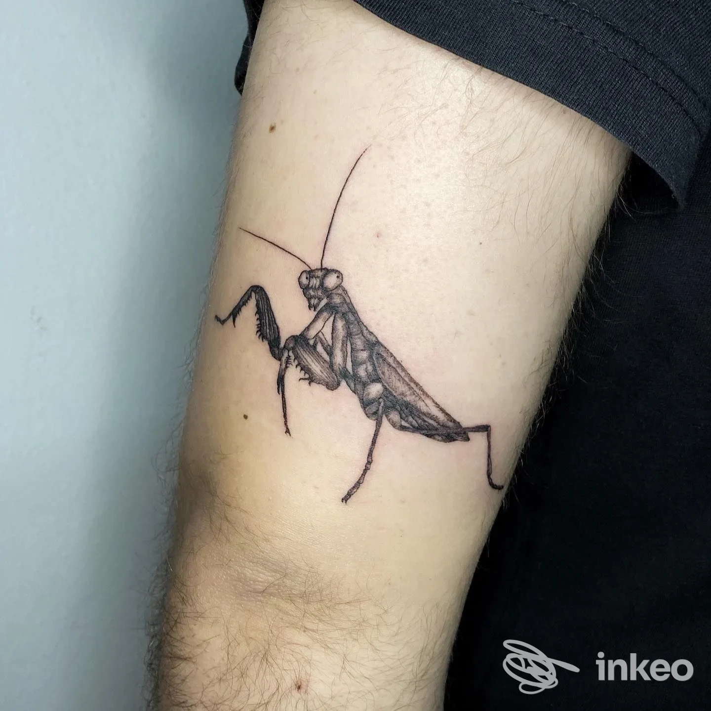 Tattoo realistico di una mantide religiosa sull'avambraccio sinistro, disegno a linee scure su pelle chiara, nessun testo o elemento promozionale visibile.