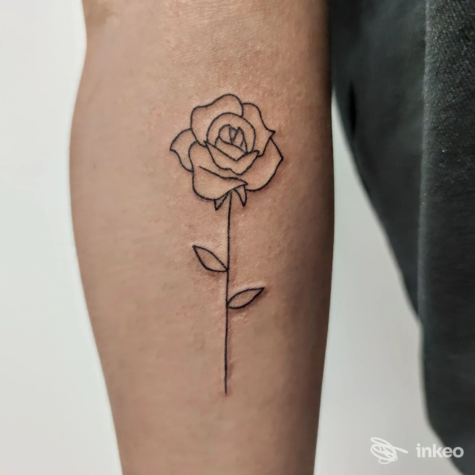 Tatuaggio a linee nere di una rosa sull'avambraccio, foto fornita da Il Cervello Anarchico Tattoo a Bassano del Grappa.