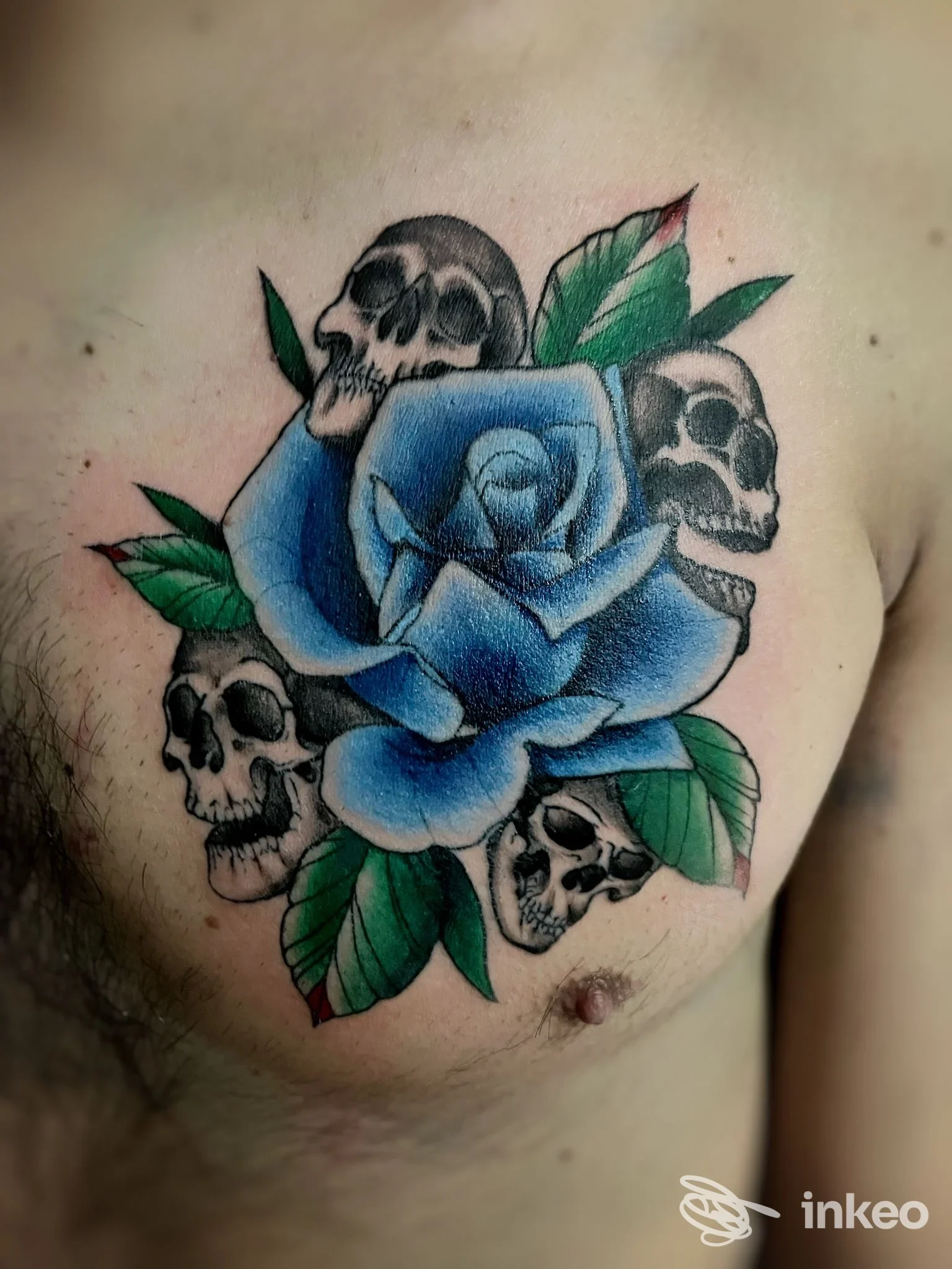 Tatuaggio sul petto con una grande rosa blu e teschi, Karashò Tattoo Studio, Raldon.