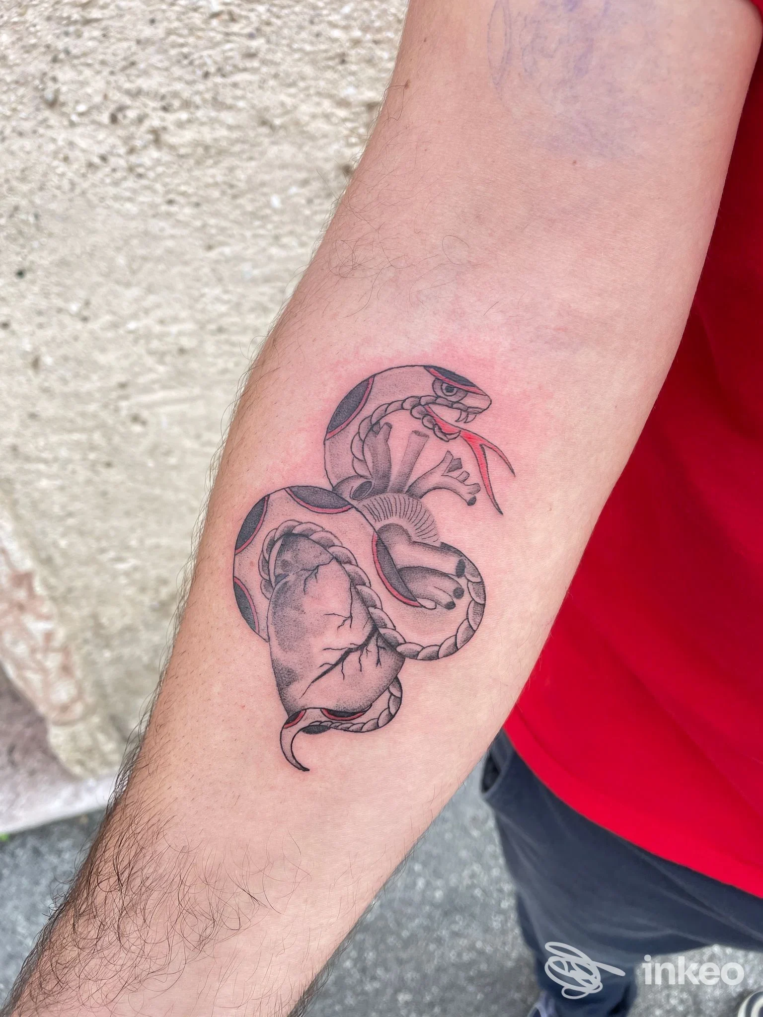 Tatuaggio su avambraccio con serpente nero avvolto intorno a un cuore anatomico, lavoro di LISA MARY ZONTA TATTOO a Bassano del Grappa.