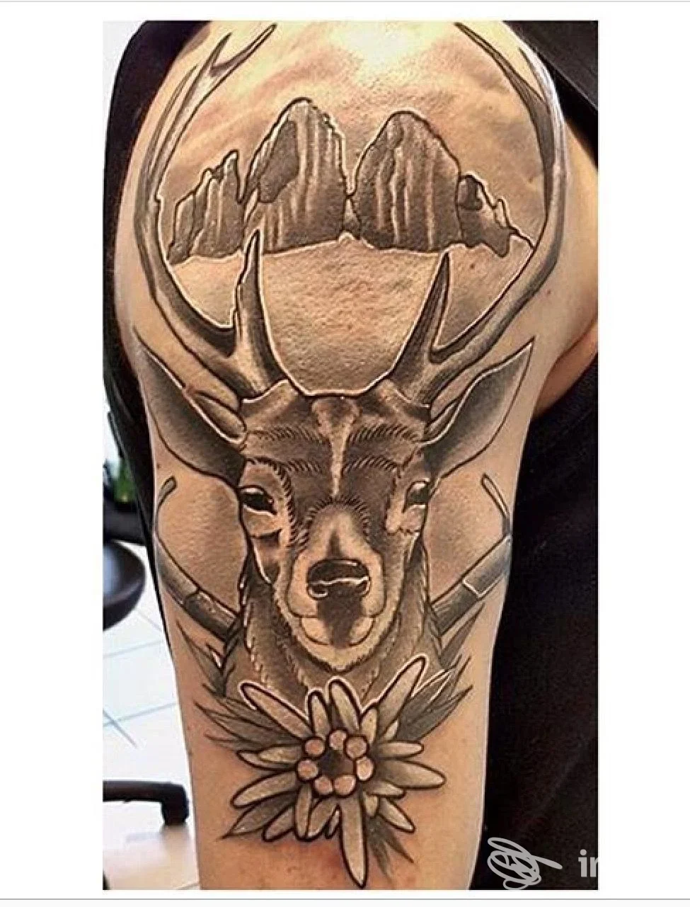 Tatuaggio in bianco e nero di un cervo con montagne e fiore sul braccio superiore, fotografato presso La Fenice Tattoo & Piercing, Belluno.