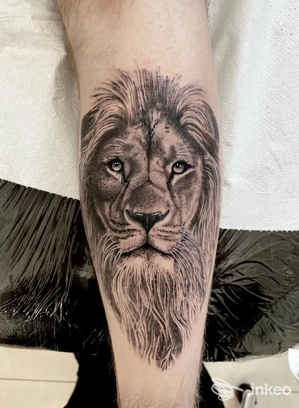 Tatuaggio realistico di testa di leone in bianco e nero sul polpaccio, realizzato da PELLE D’OCA tattoo studio a Breganze.