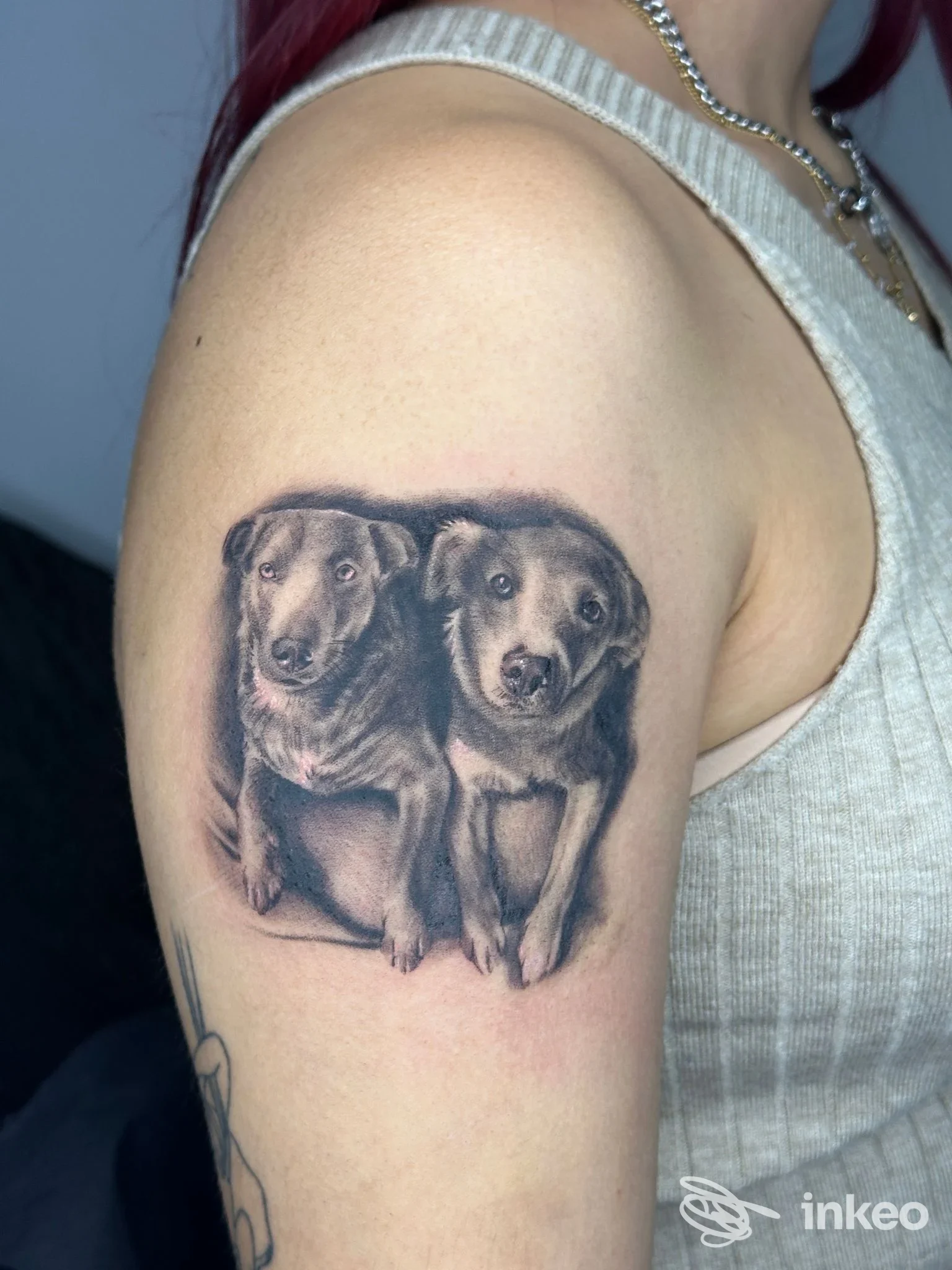 Tatuaggio realistico in bianco e nero di due cani sul braccio superiore, Moon River Tattoo Studio, Robegano.