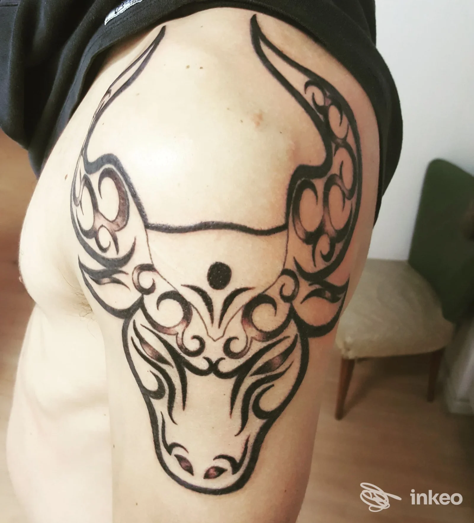 Tatuaggio tribale a testa di toro sulla spalla, foto fornita da Owl Tattoo studio a Malo.
