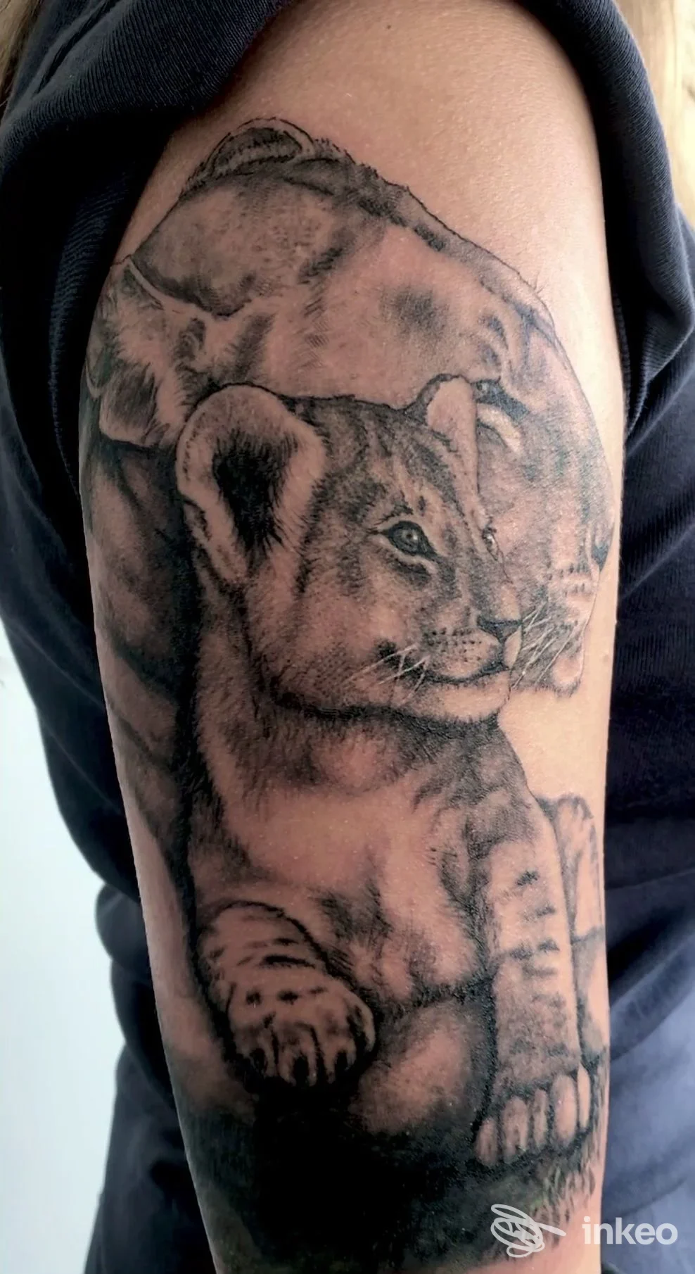 Tatuaggio in bianco e nero di due leonesse sul braccio superiore, Purosangue Tattoo Studio, Terrossa.