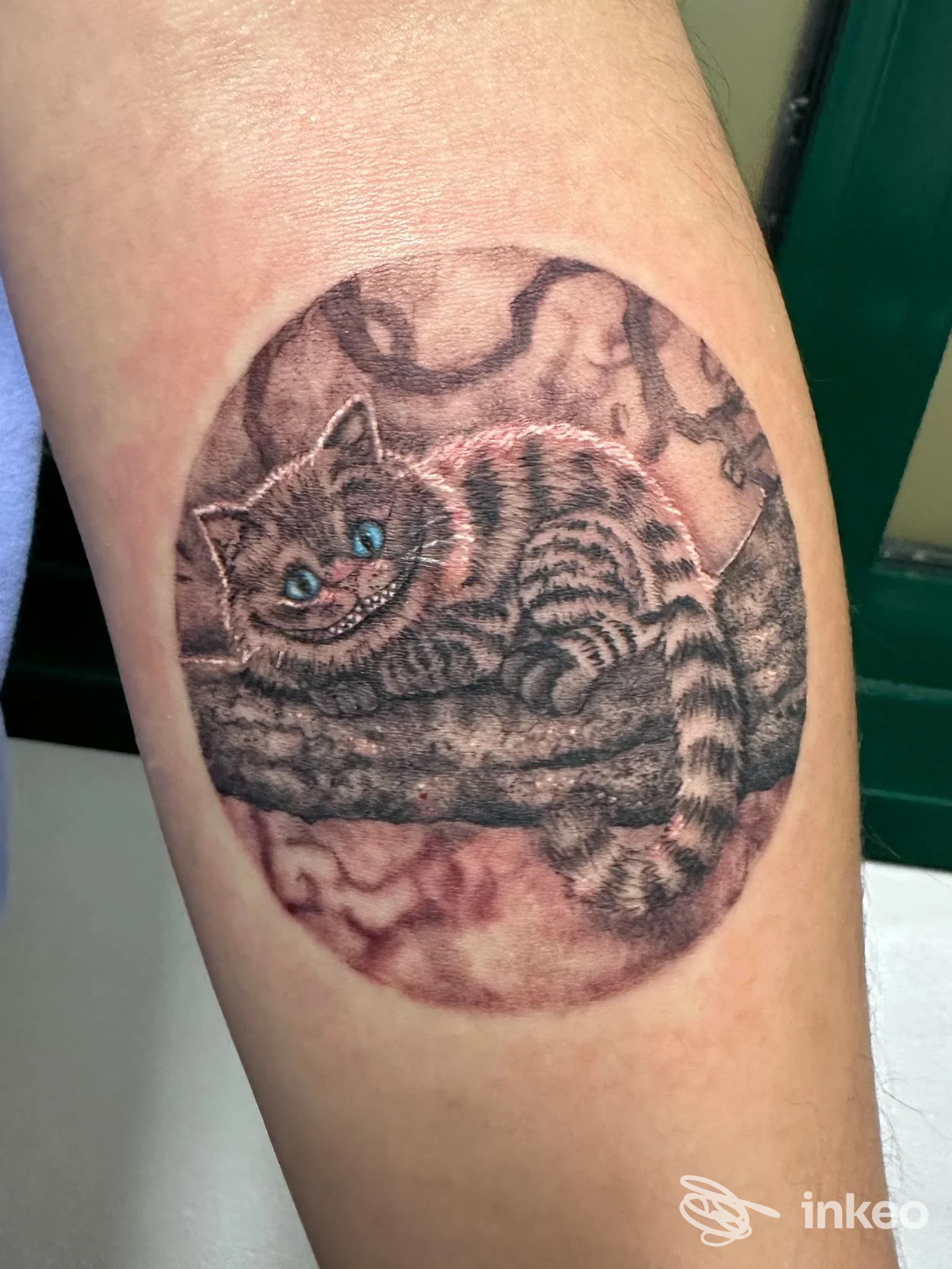 Tatuaggio raffigurante un gatto su ramo sull'avambraccio, opera condivisa da Purosangue Tattoo Studio, Terrossa.