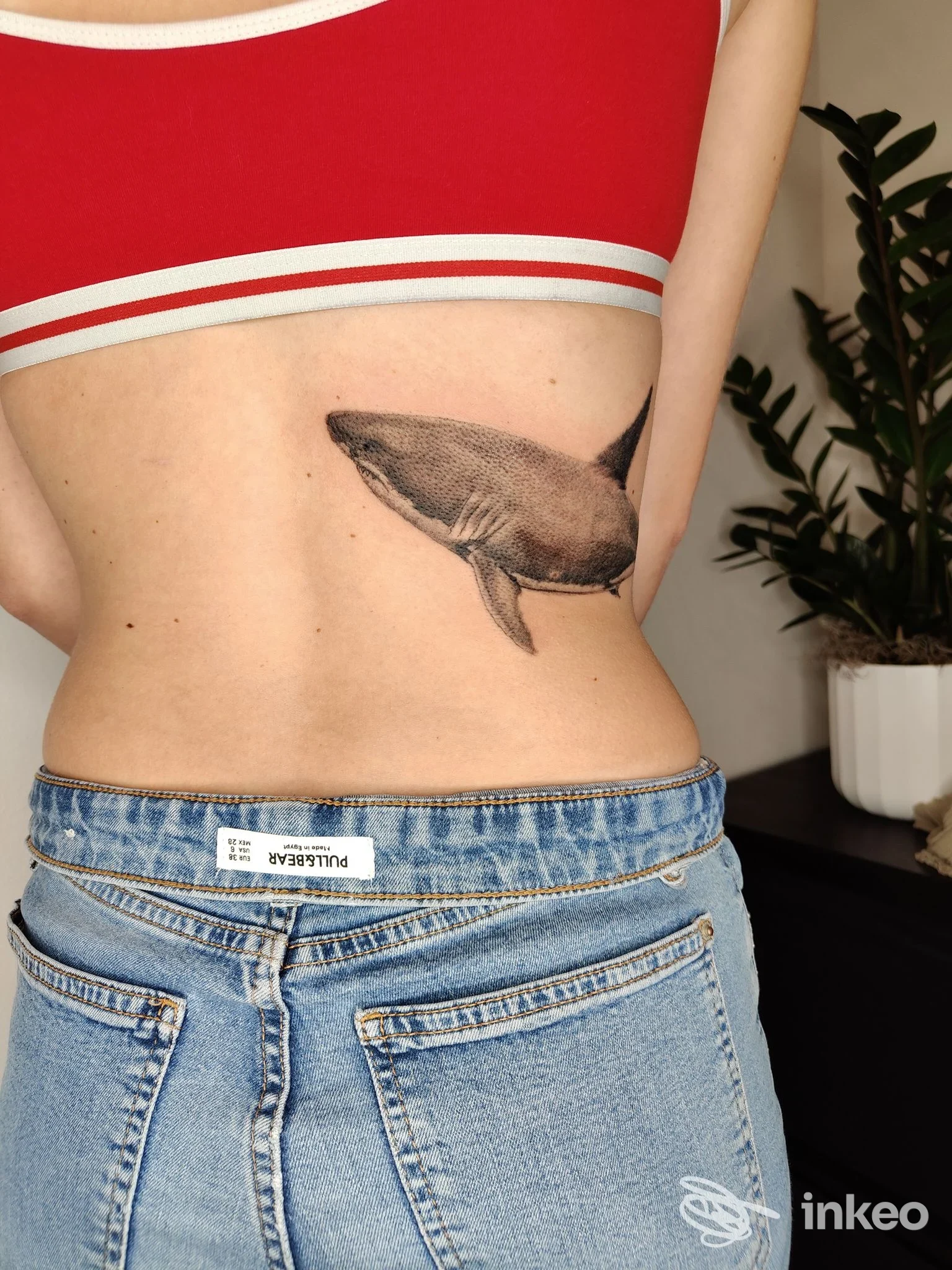 Tatuaggio stilizzato di squalo sul fianco sinistro di una persona, fotografia di studio Ruvoxa Tattoo, Treviso.