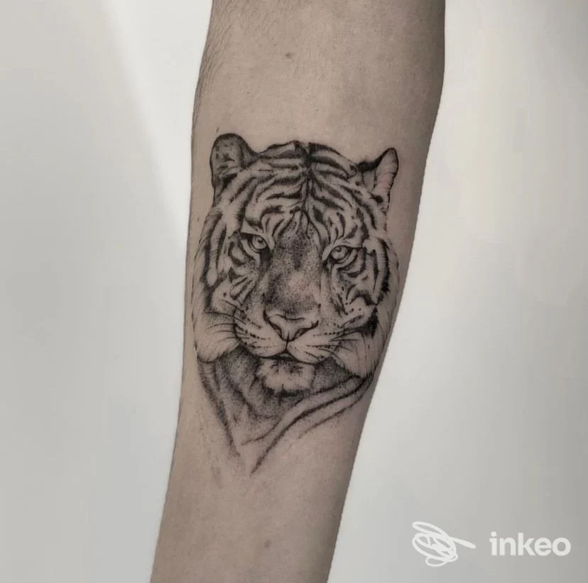 Tatuaggio a testa di tigre in bianco e nero sull'avambraccio, Shader Loopus Tattoo Studio, Bassano del Grappa.
