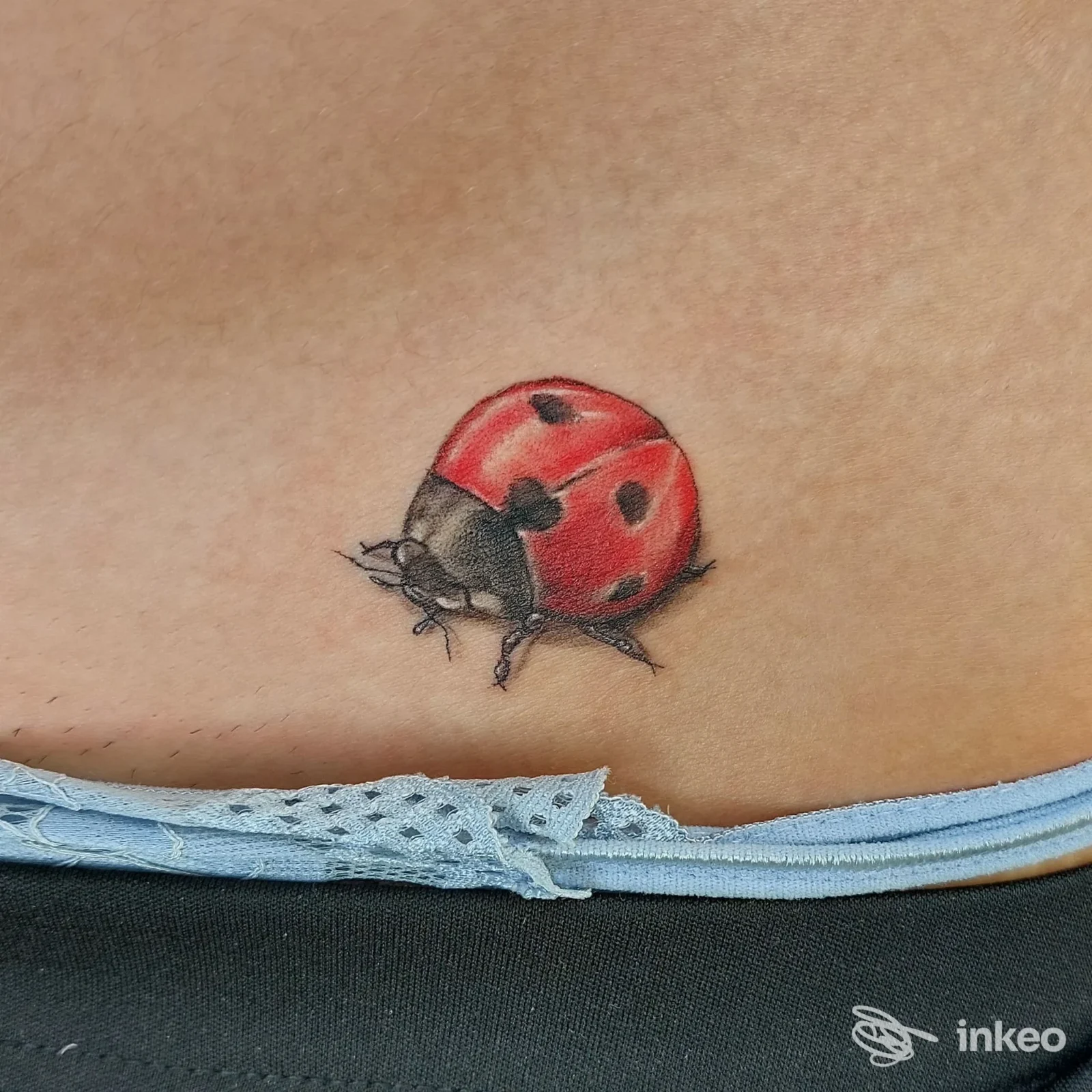 Piccolo tatuaggio a forma di coccinella sul basso addome, fotografato per Sottopelle Tattoo Studio a Romano d'Ezzelino.
