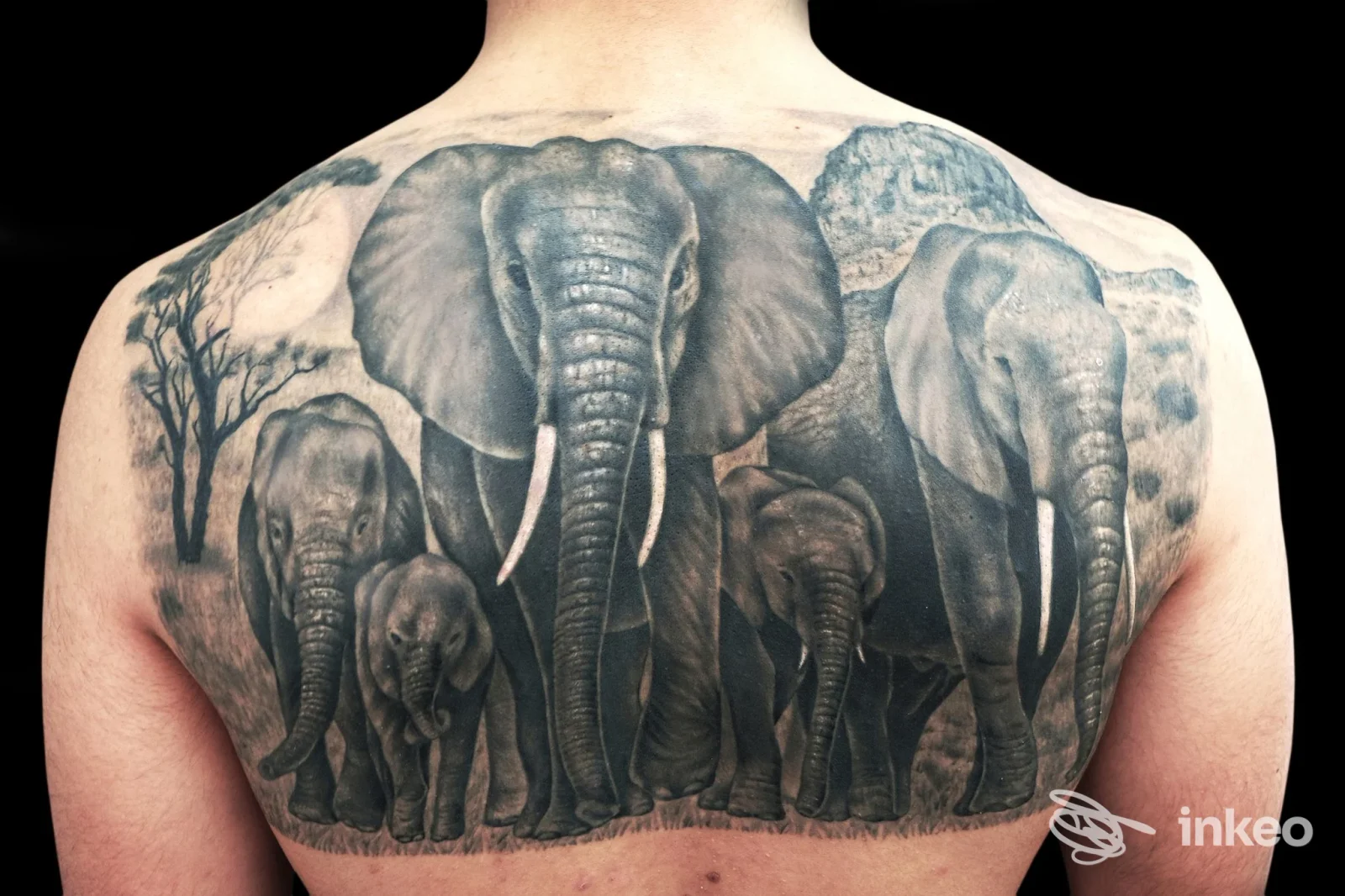 Ampio tatuaggio realistico di elefanti sulla parte superiore della schiena, Tattoo Consortium, Venezia.