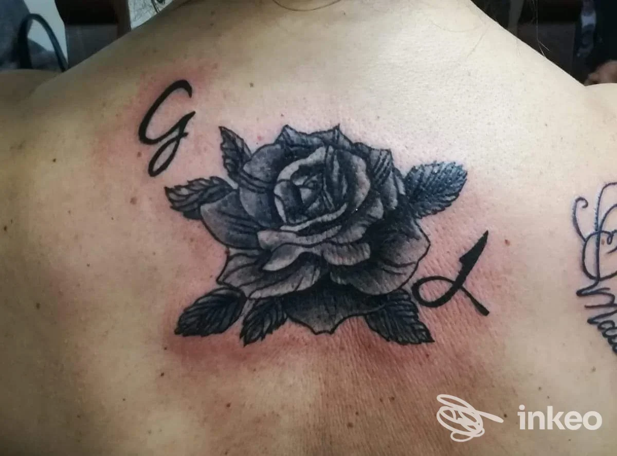 Tatuaggio a rosa in bianco e nero sulla parte superiore della schiena, foto fornita da Tattoo Studio Dharma a Selvazzano Dentro.