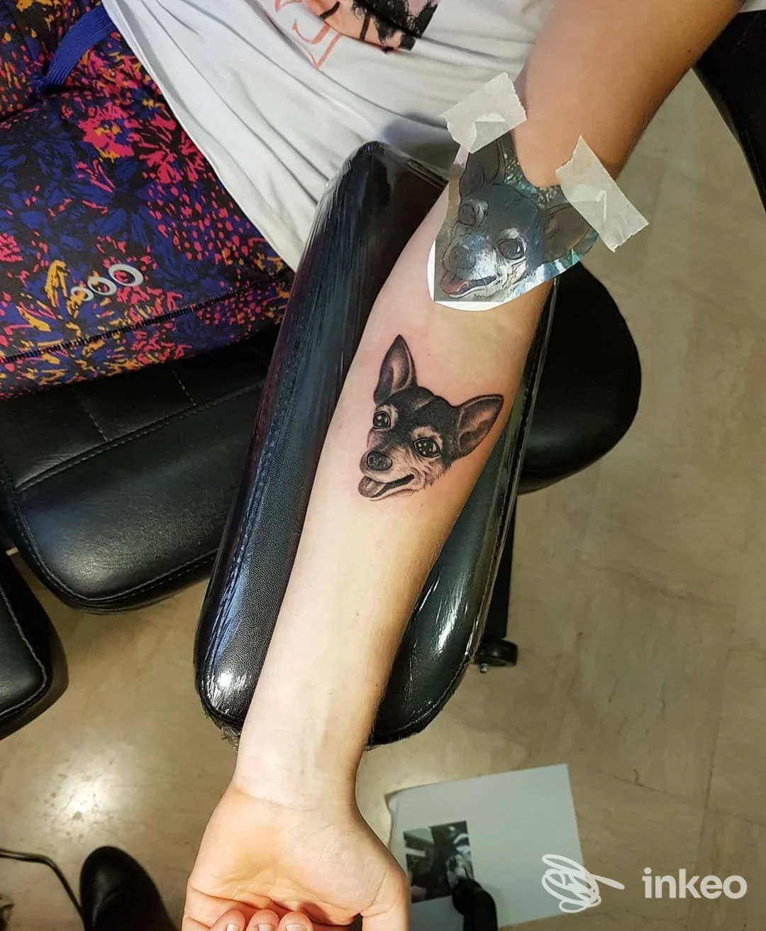 Tatuaggio realistico di una testa di cane sull'avambraccio, Tattoo Therapy di Veronica Zanier a Marostica.