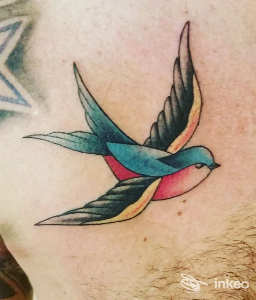 Tatuaggio a forma di rondine colorata sul petto, lavoro mostrato dallo studio Armonia Tattoo a San Zeno.