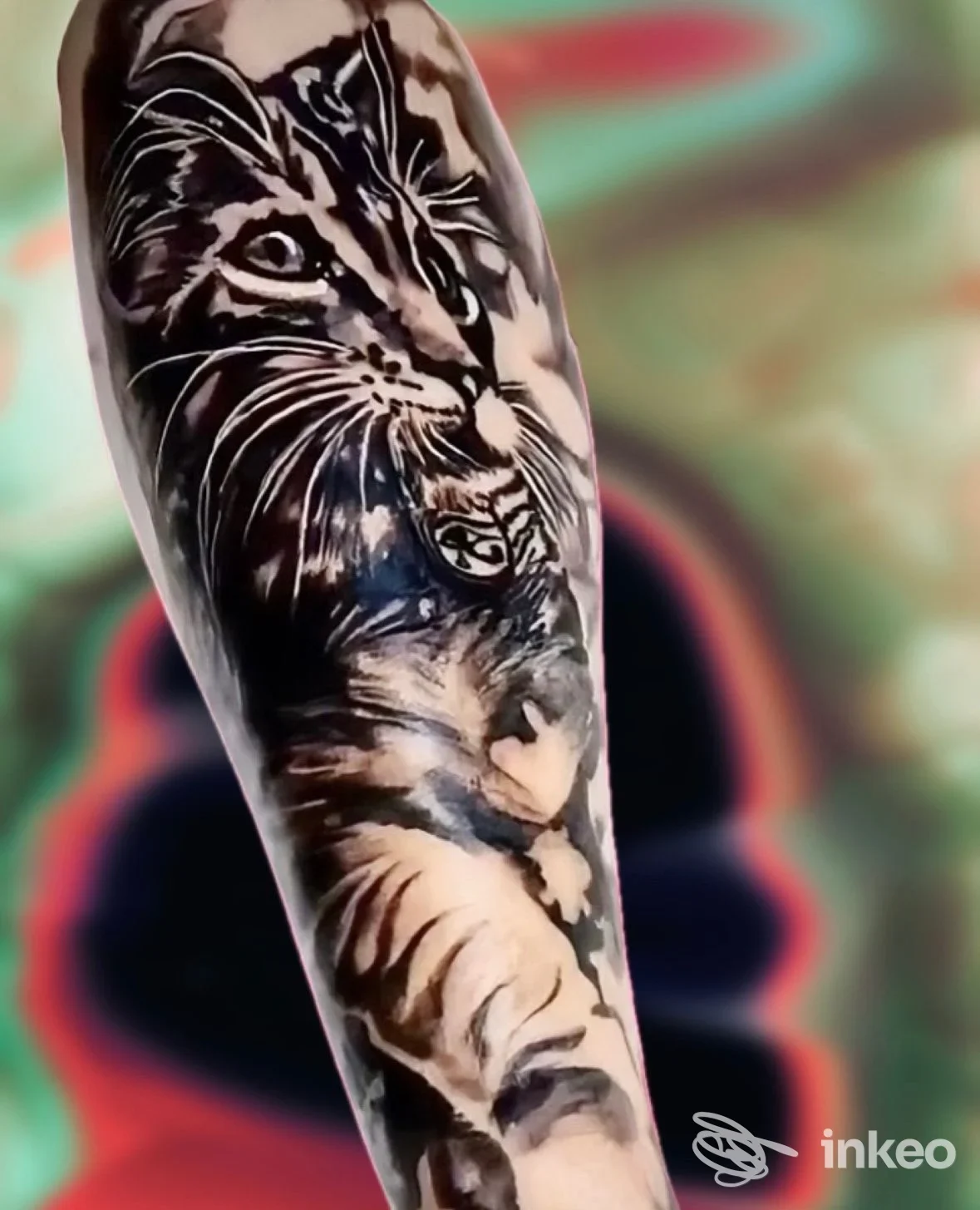 Grosso tatuaggio realistico di un gatto sull'avambraccio, lavoro di Candy Tattoo Shop, Santorso.