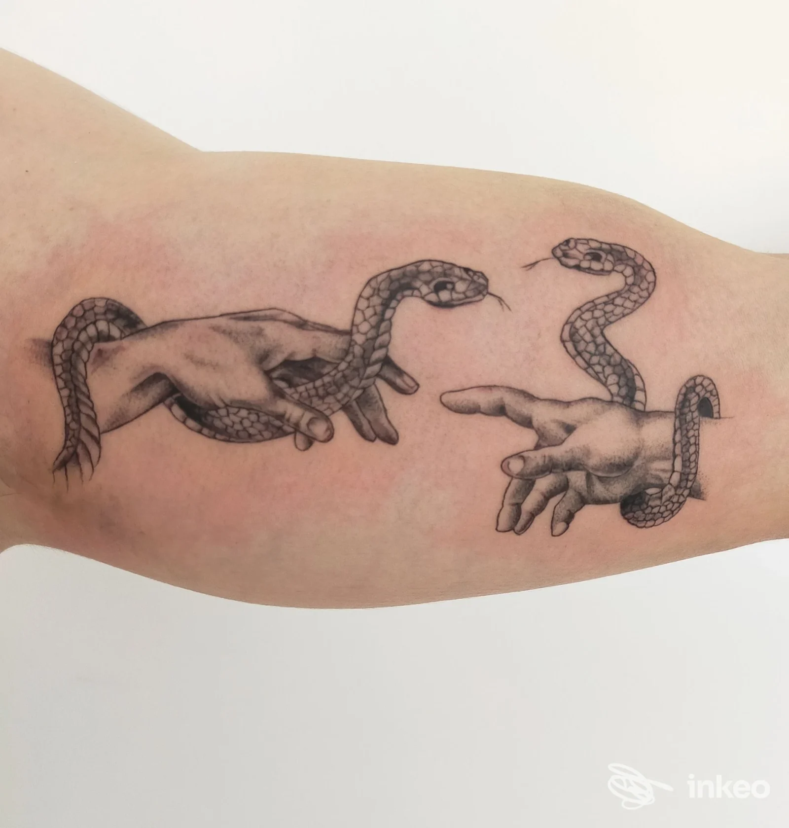 Tatuaggio in nero sull'avambraccio con due mani e due serpenti, ImmaginArti Tattoo, Isola Vicentina.