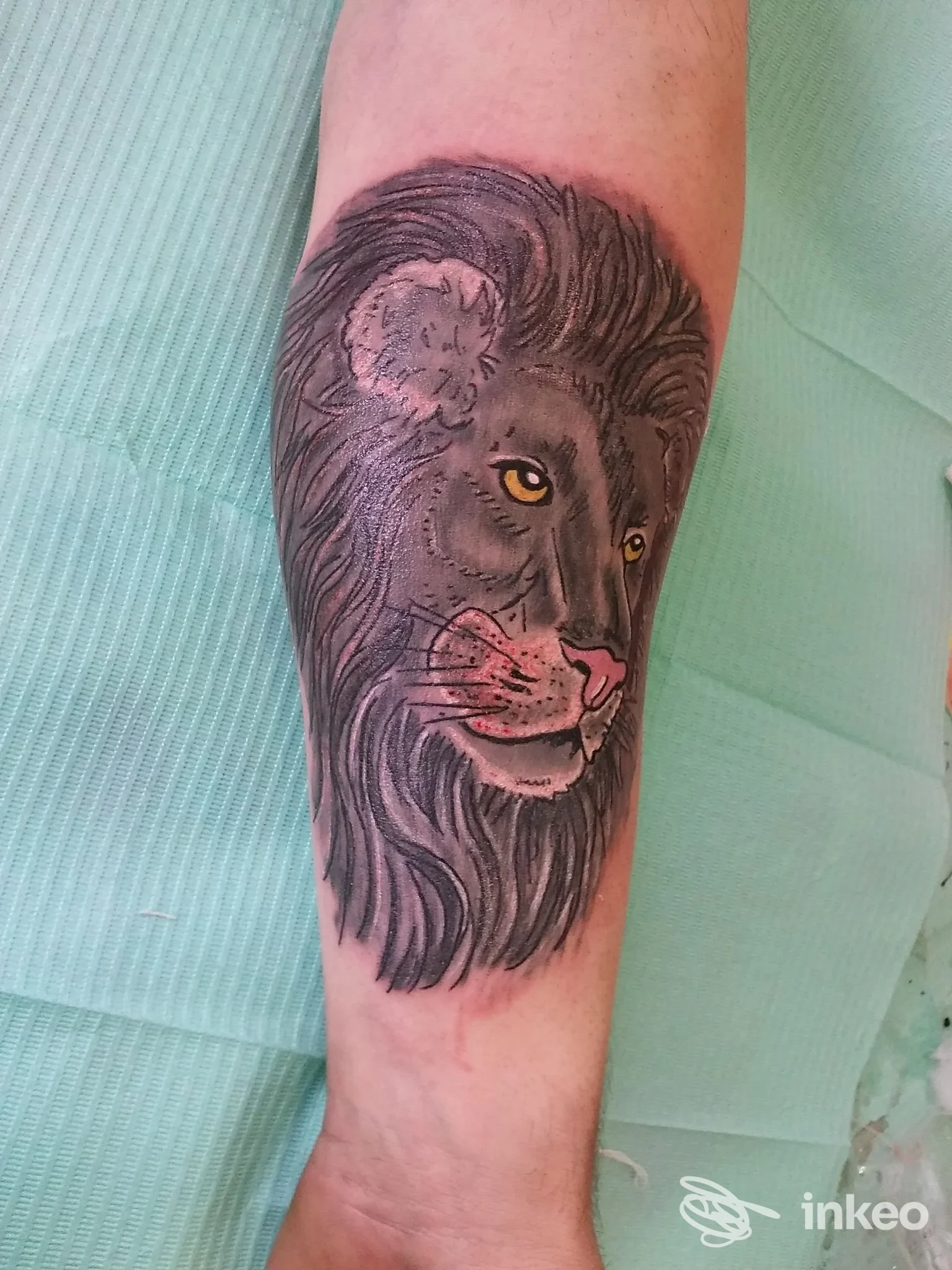 Tatuaggio di una testa di leone sull'avambraccio, eseguito presso Jolie Tattoo Piercing di Luca Marinello, Castelfranco Veneto.