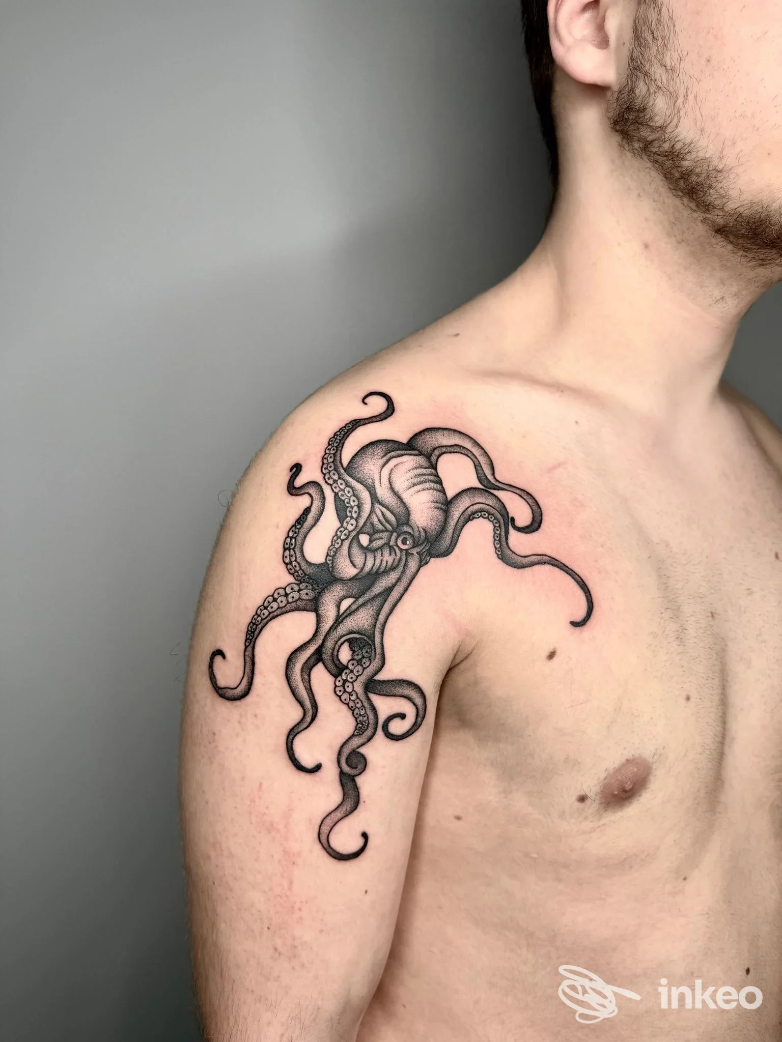 Dettaglio di tatuaggio a polpo sul deltoide, pelle reale; immagine fornita da LA TATUERIA, Cittadella.