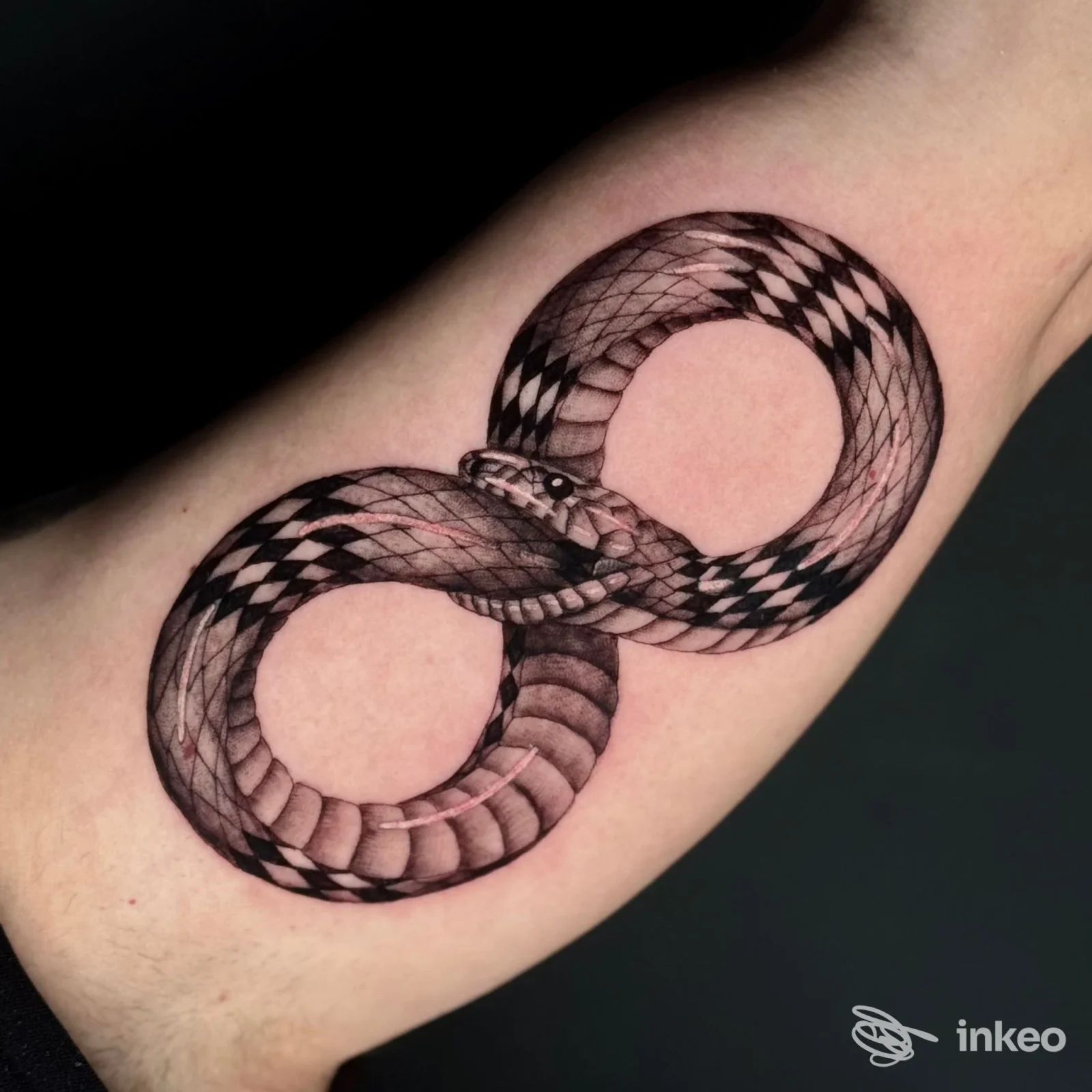 Tatuaggio a forma di otto con serpente stilizzato sull'interno del braccio, LA TATUERIA, Cittadella.